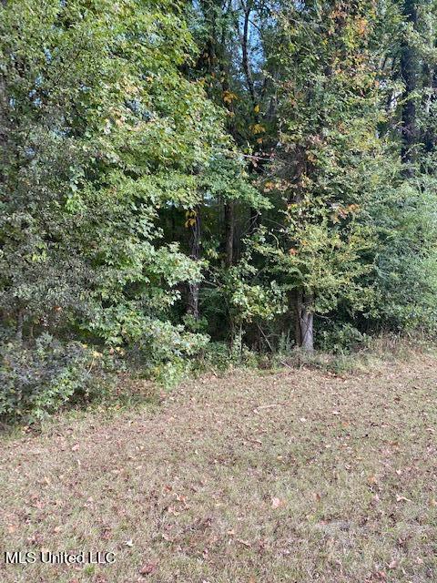 000 Ms-463 Property Photo 1