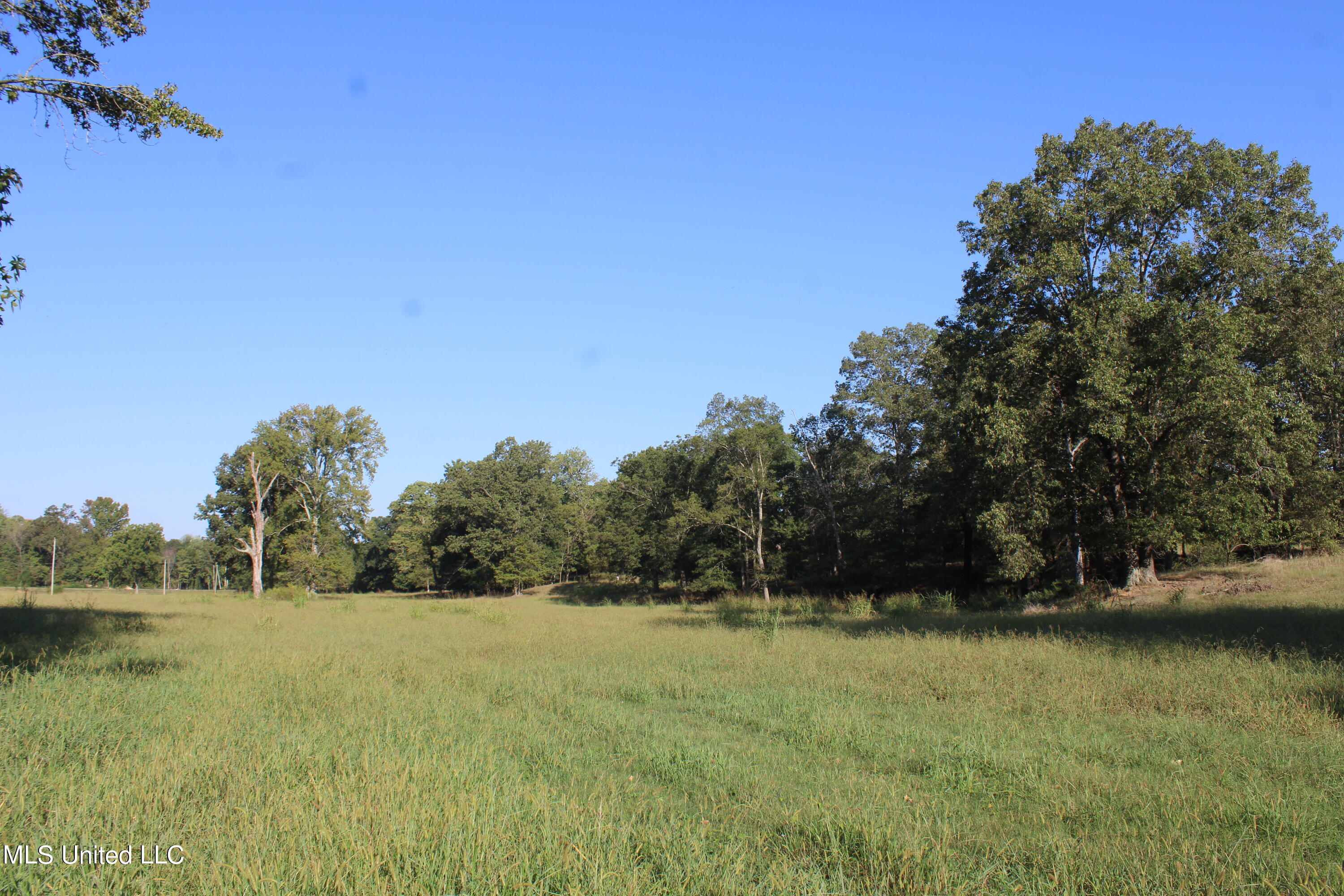 460 Myers Road Property Photo 9