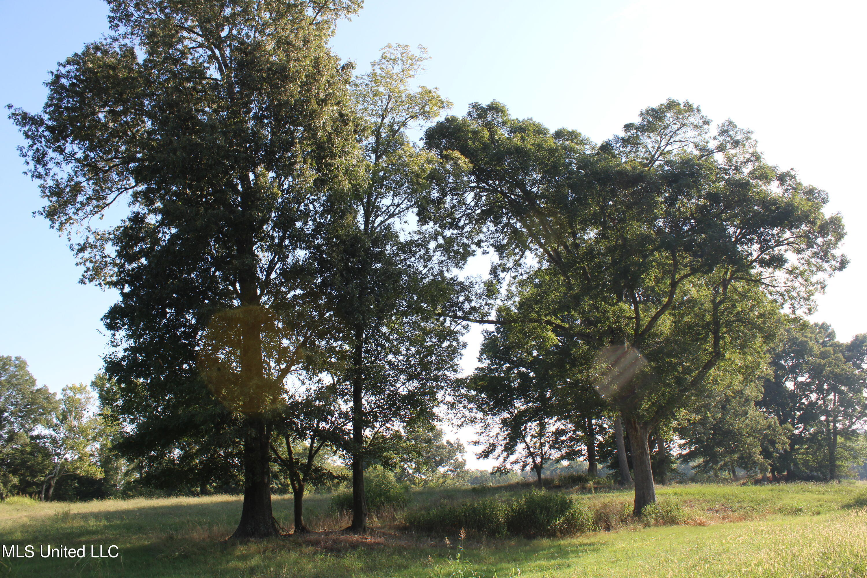 460 Myers Road Property Photo 10