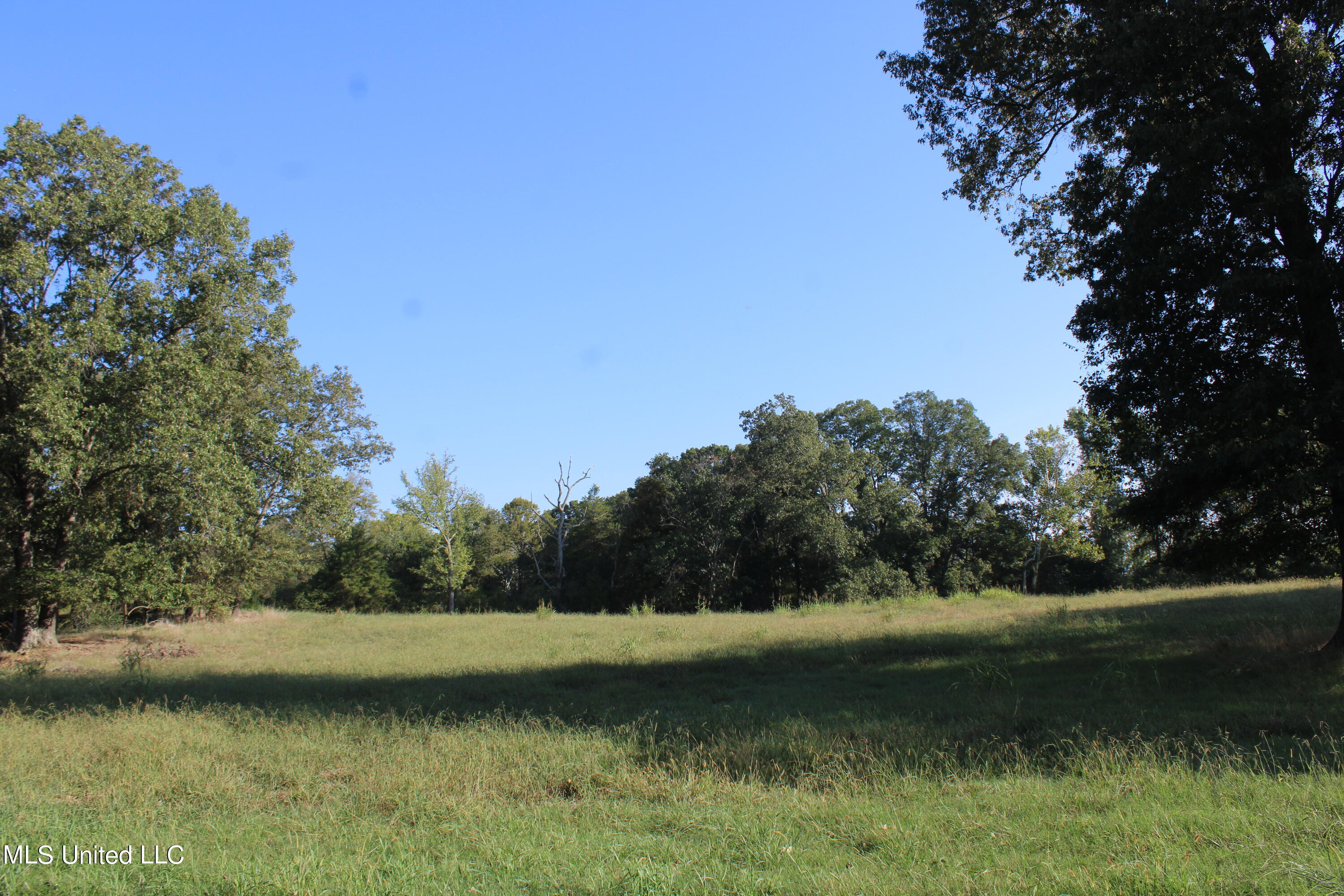 460 Myers Road Property Photo 11
