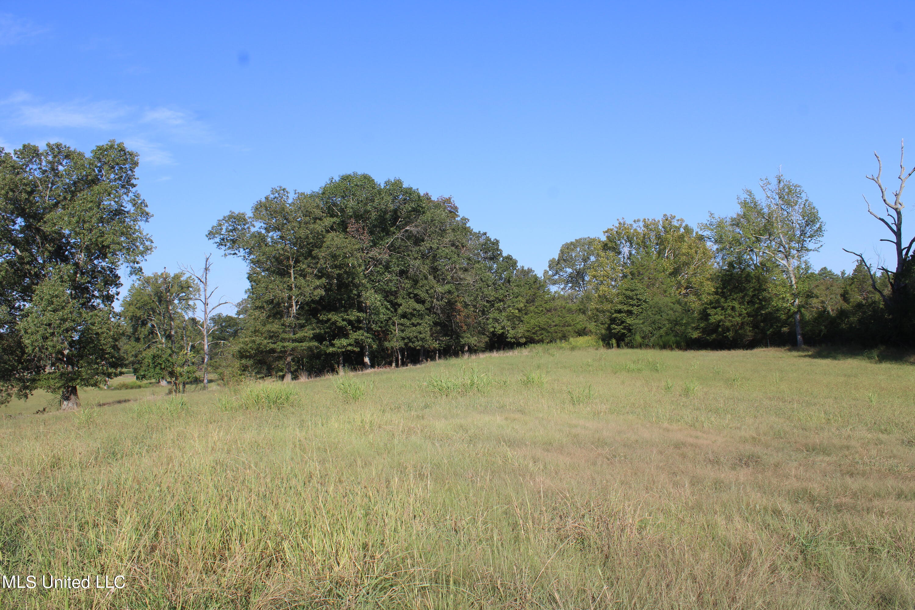 460 Myers Road Property Photo 12