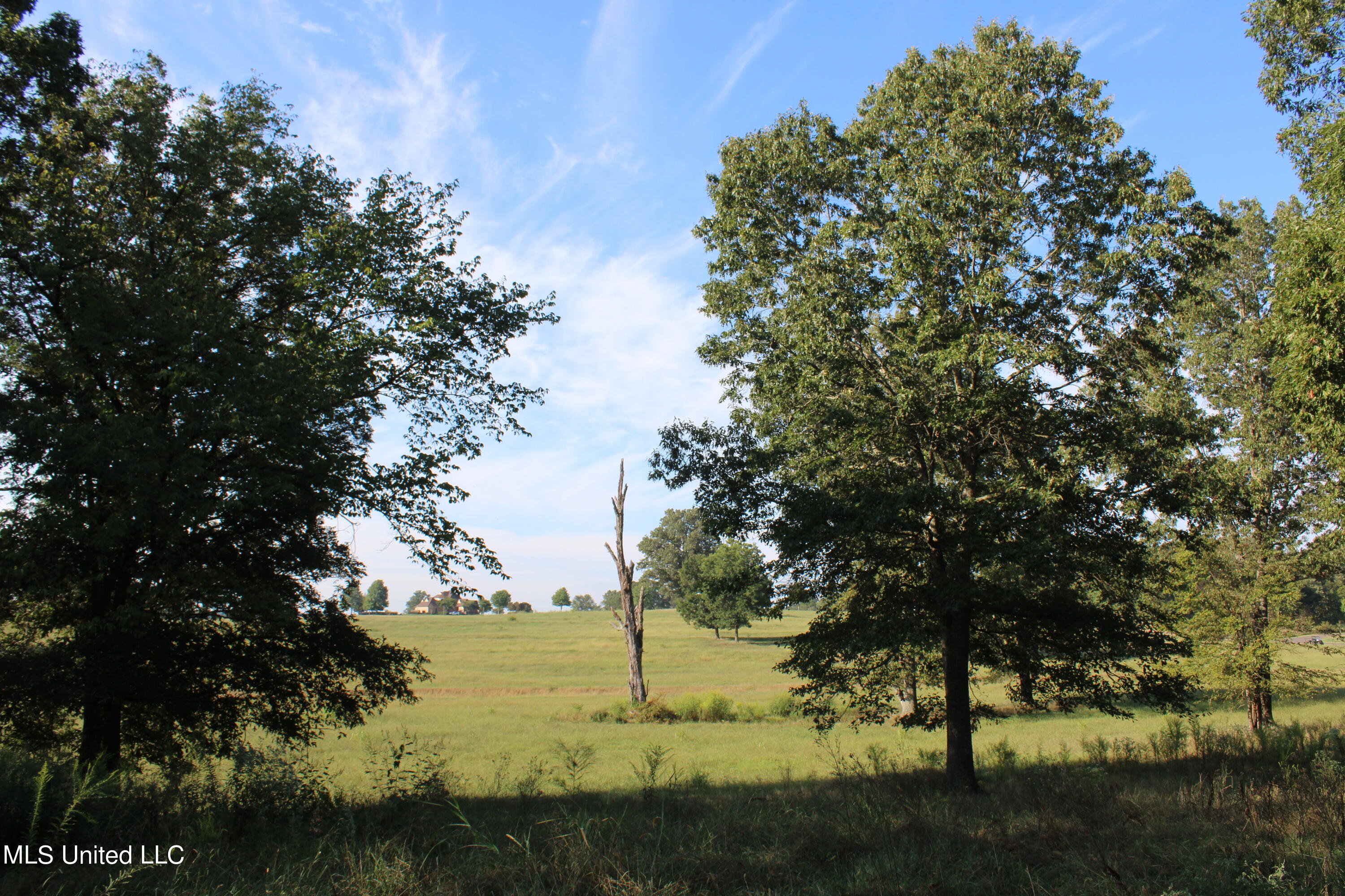 460 Myers Road Property Photo 14