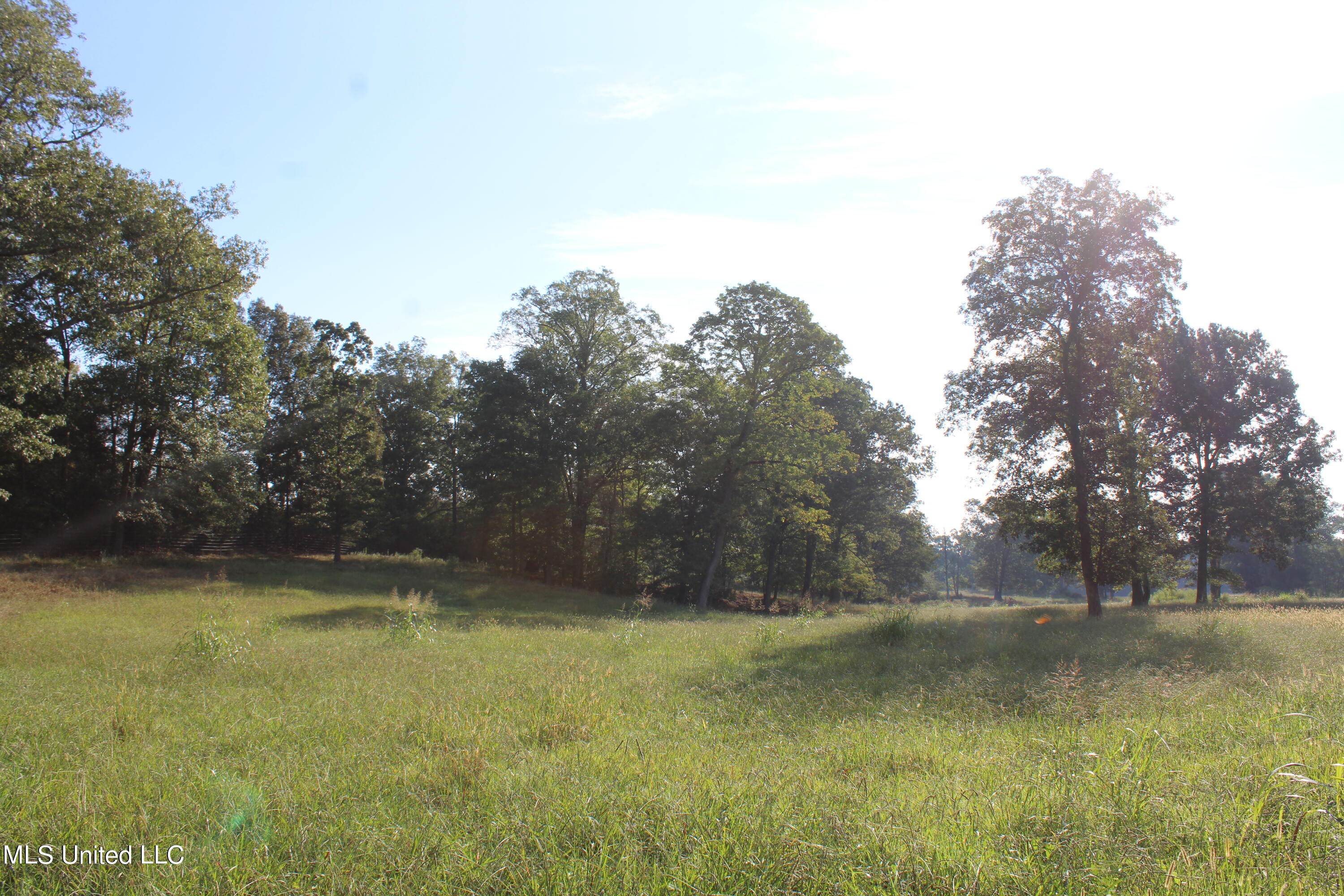 460 Myers Road Property Photo 16