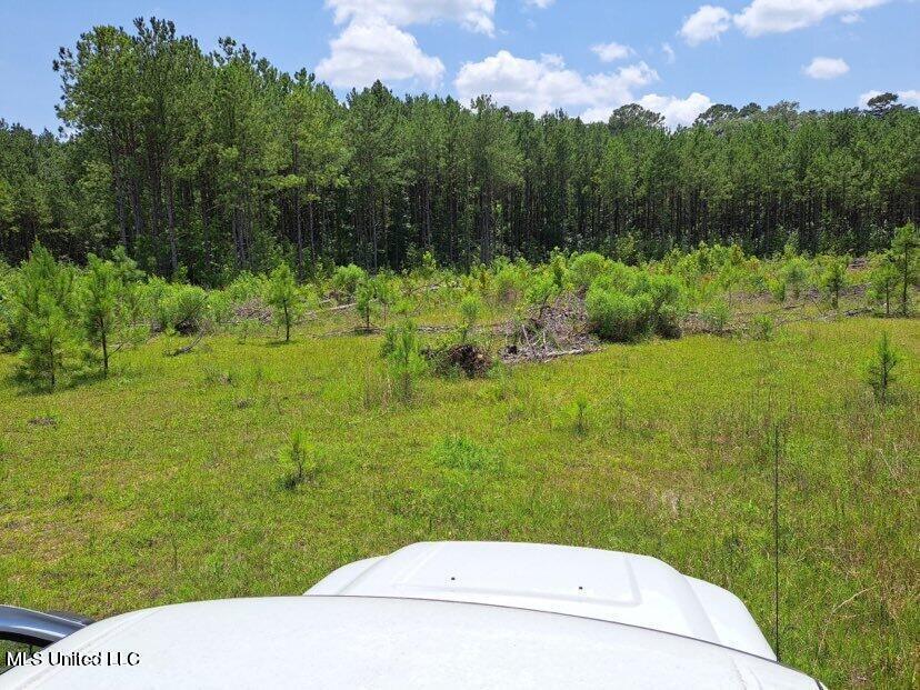 0 0 Us 49 Highway Property Photo 1