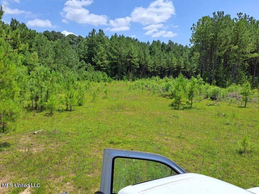 0 0 Us 49 Highway Property Photo 3