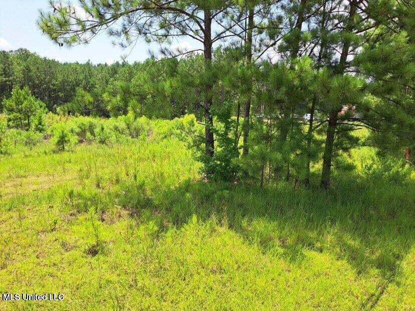 0 0 Us 49 Highway Property Photo 7
