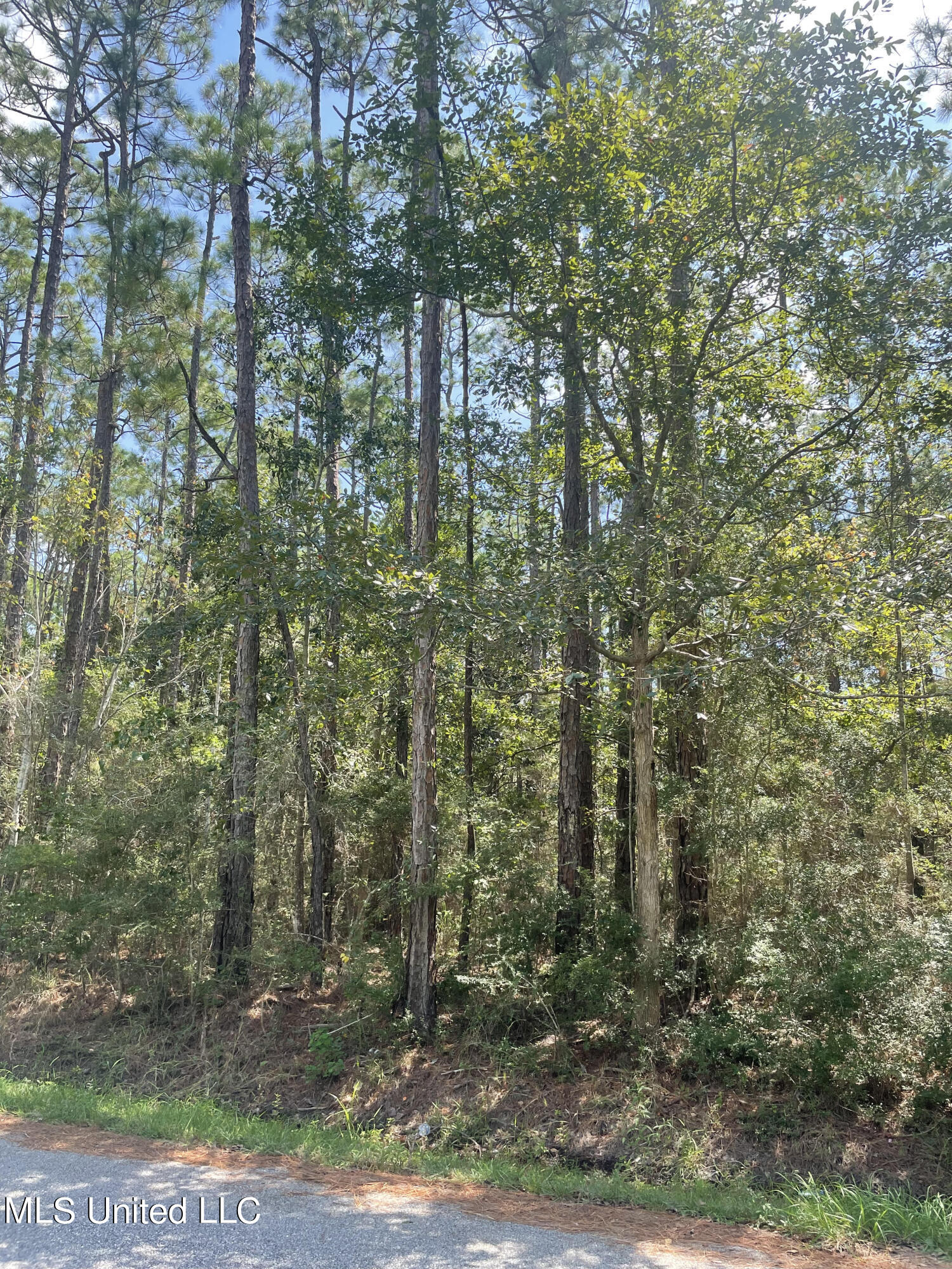 Lot 22 Sycamore Drive Property Photo 1