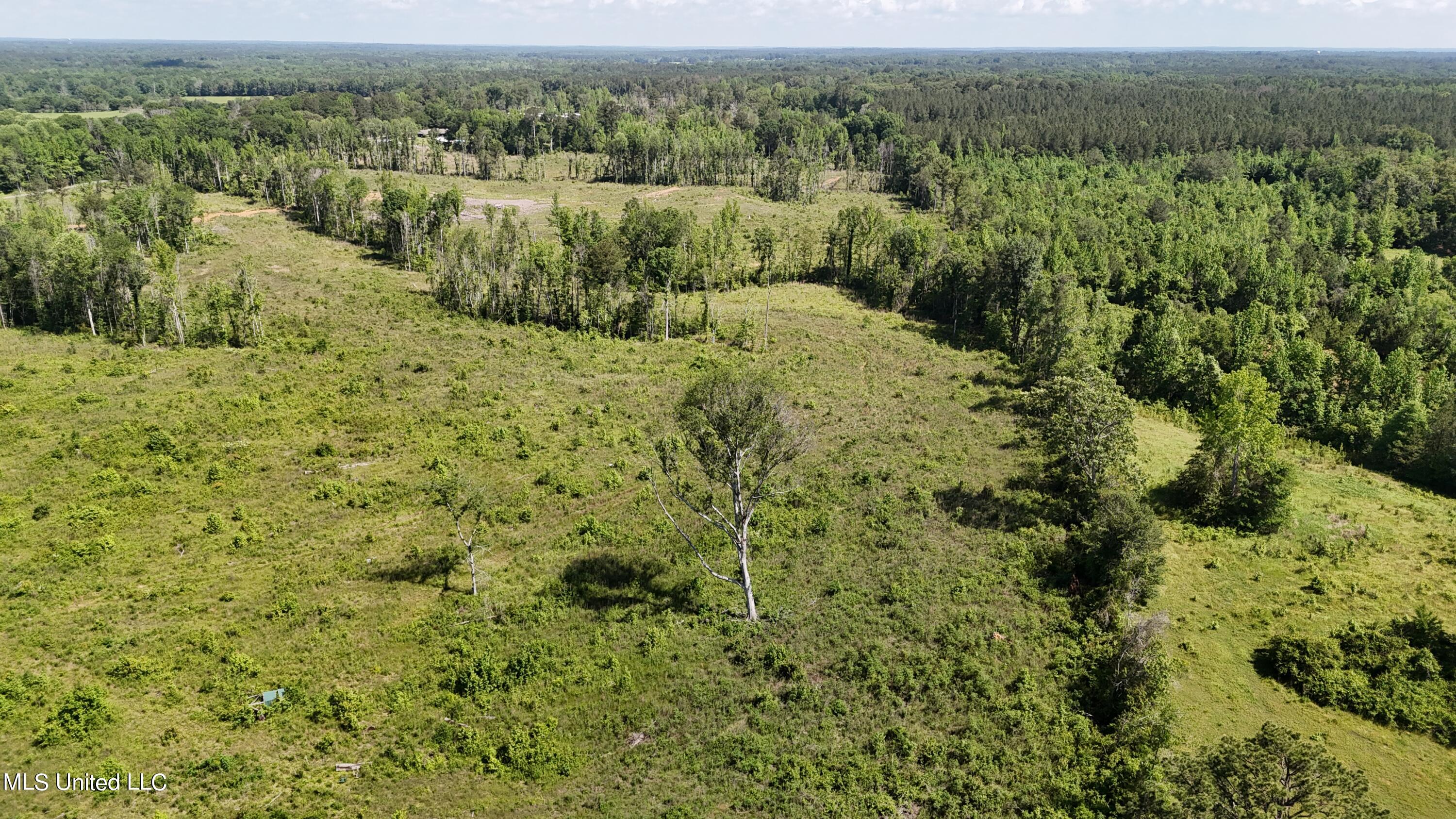Harrison Road Property Photo 7