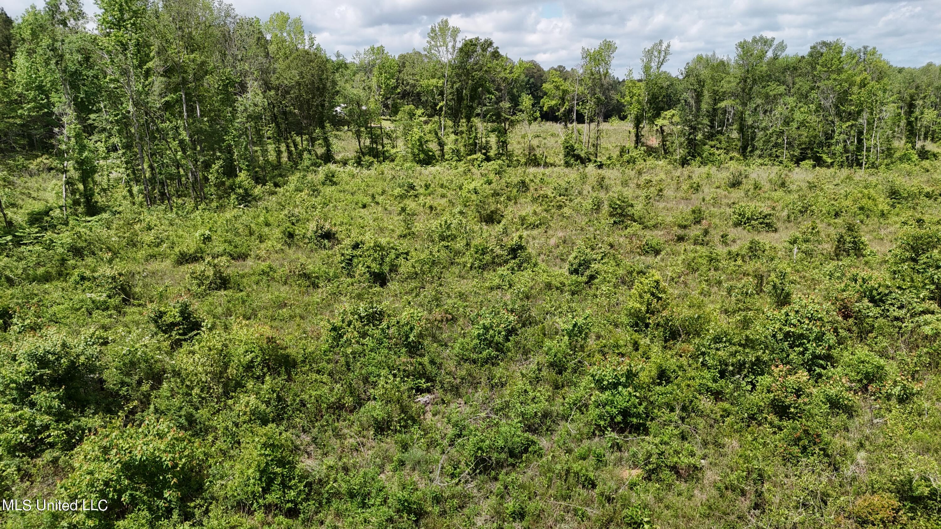 Harrison Road Property Photo 12