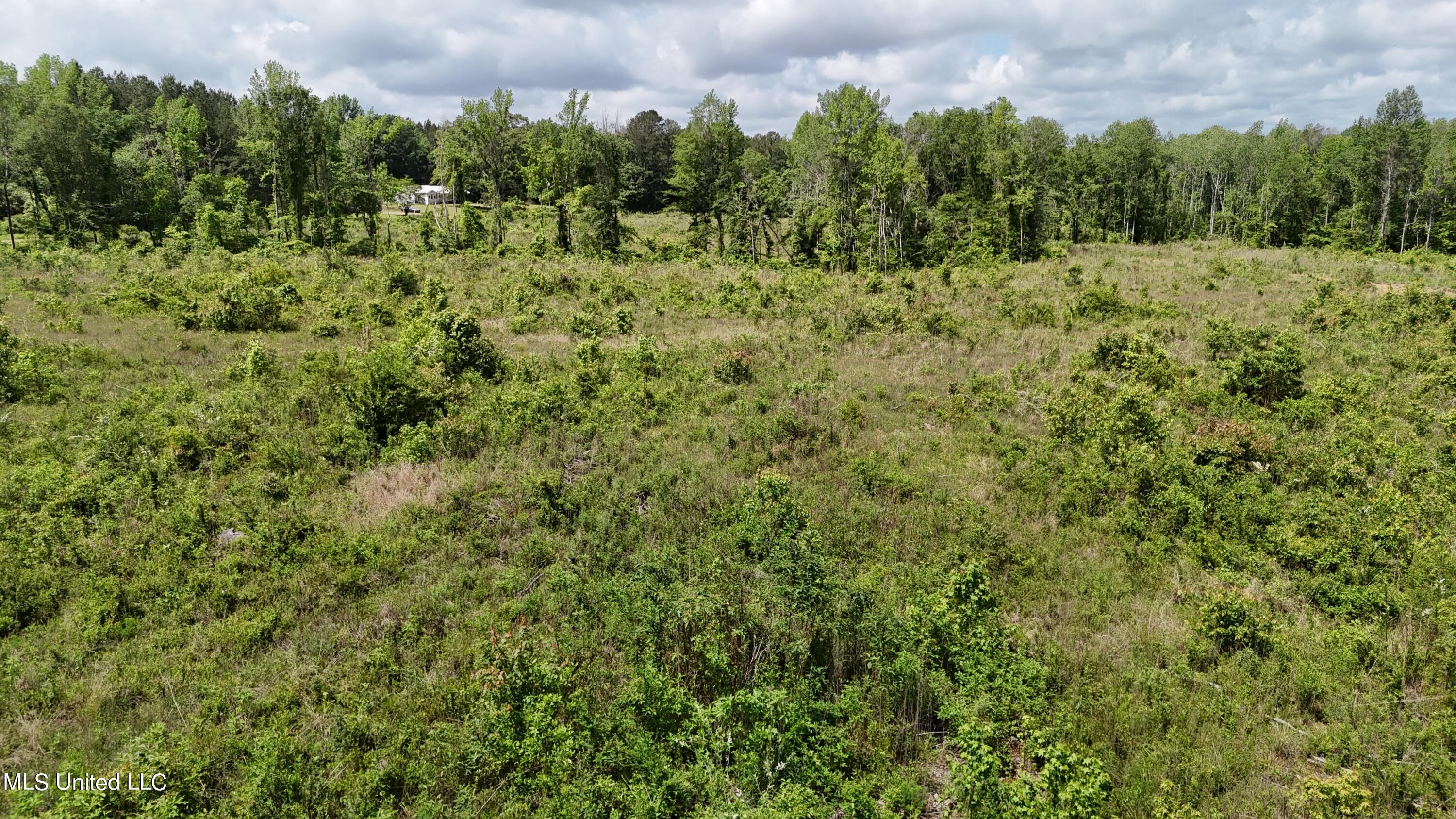 Harrison Road Property Photo 14