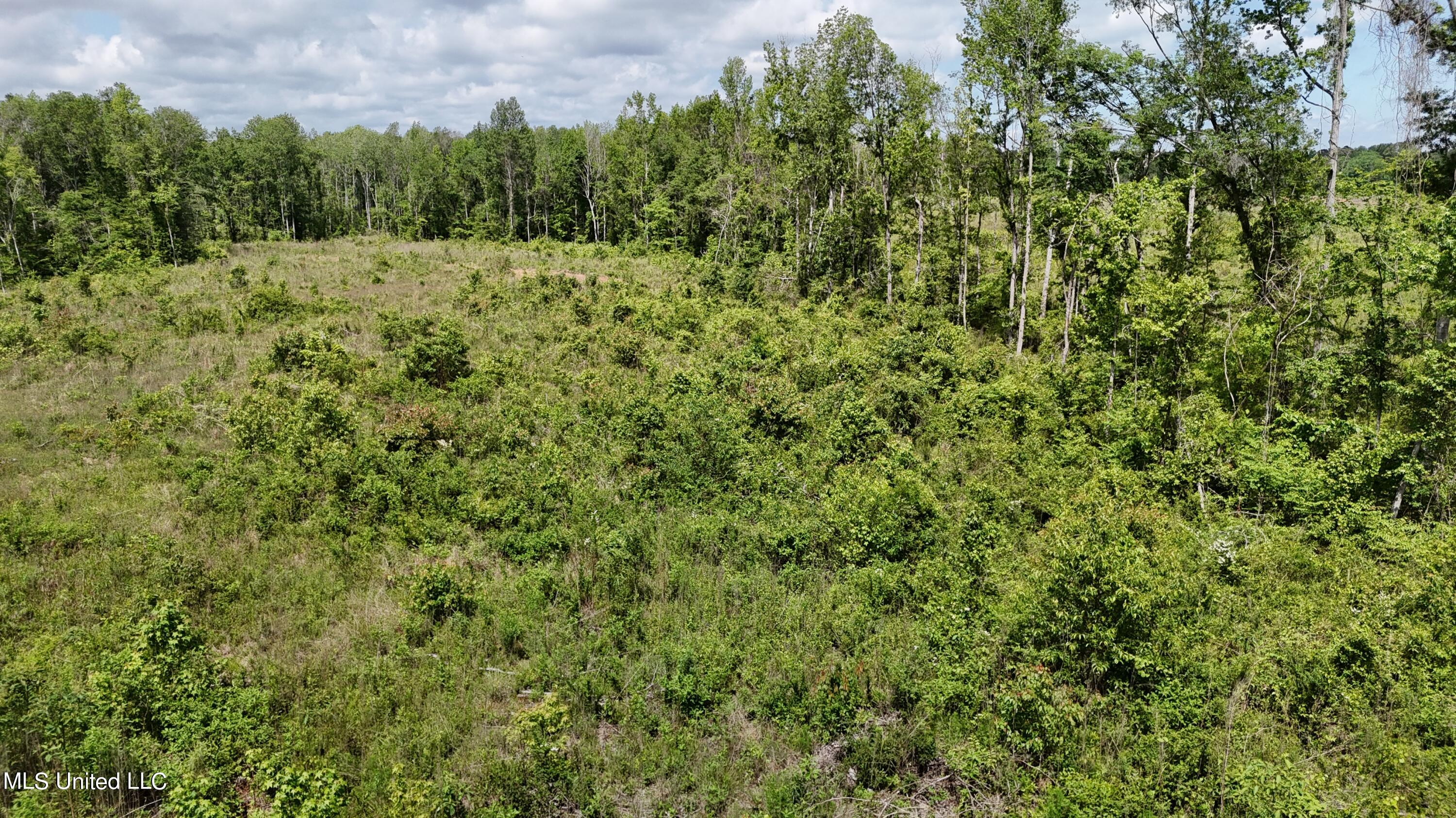 Harrison Road Property Photo 15