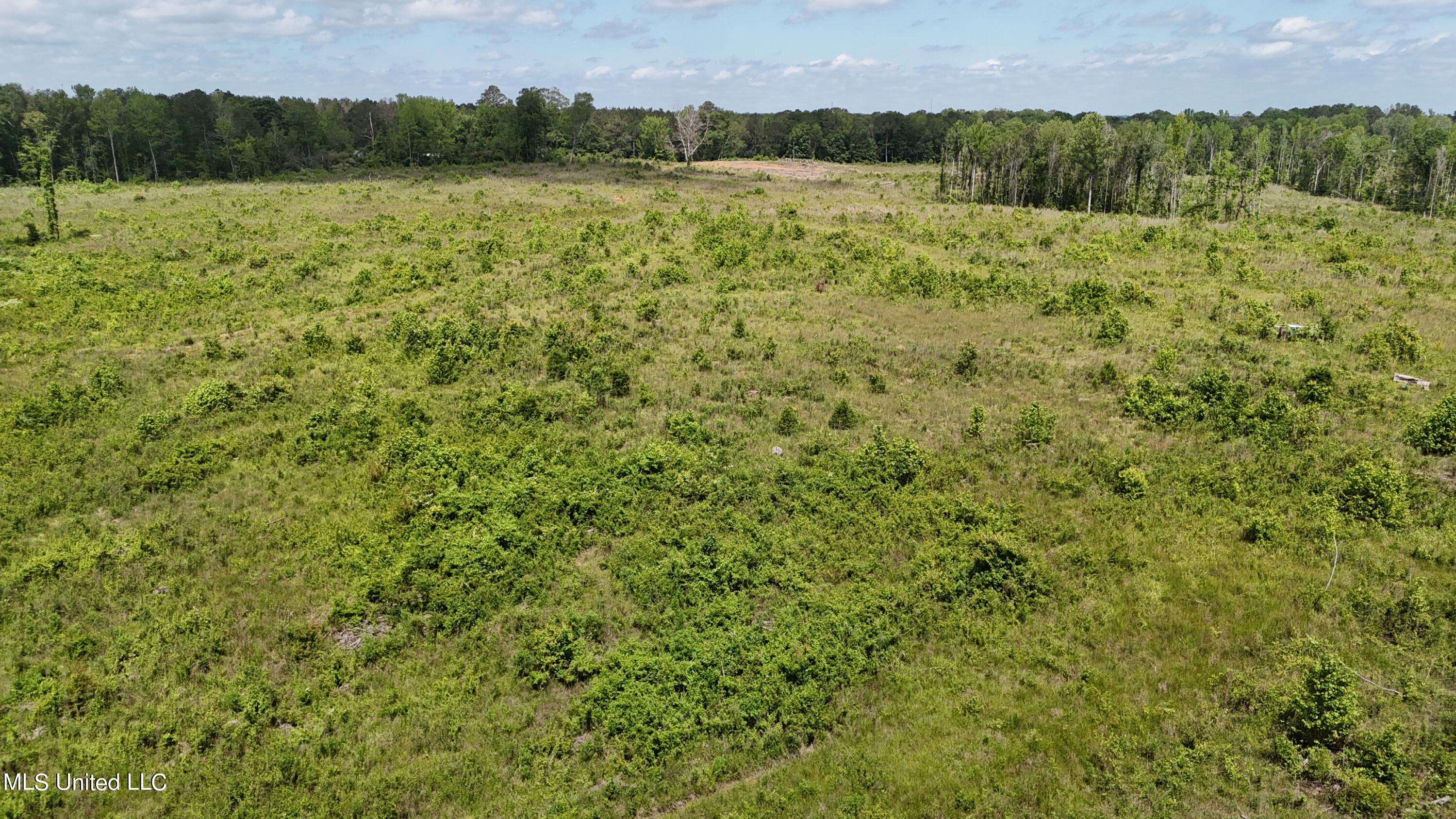 Harrison Road Property Photo 17