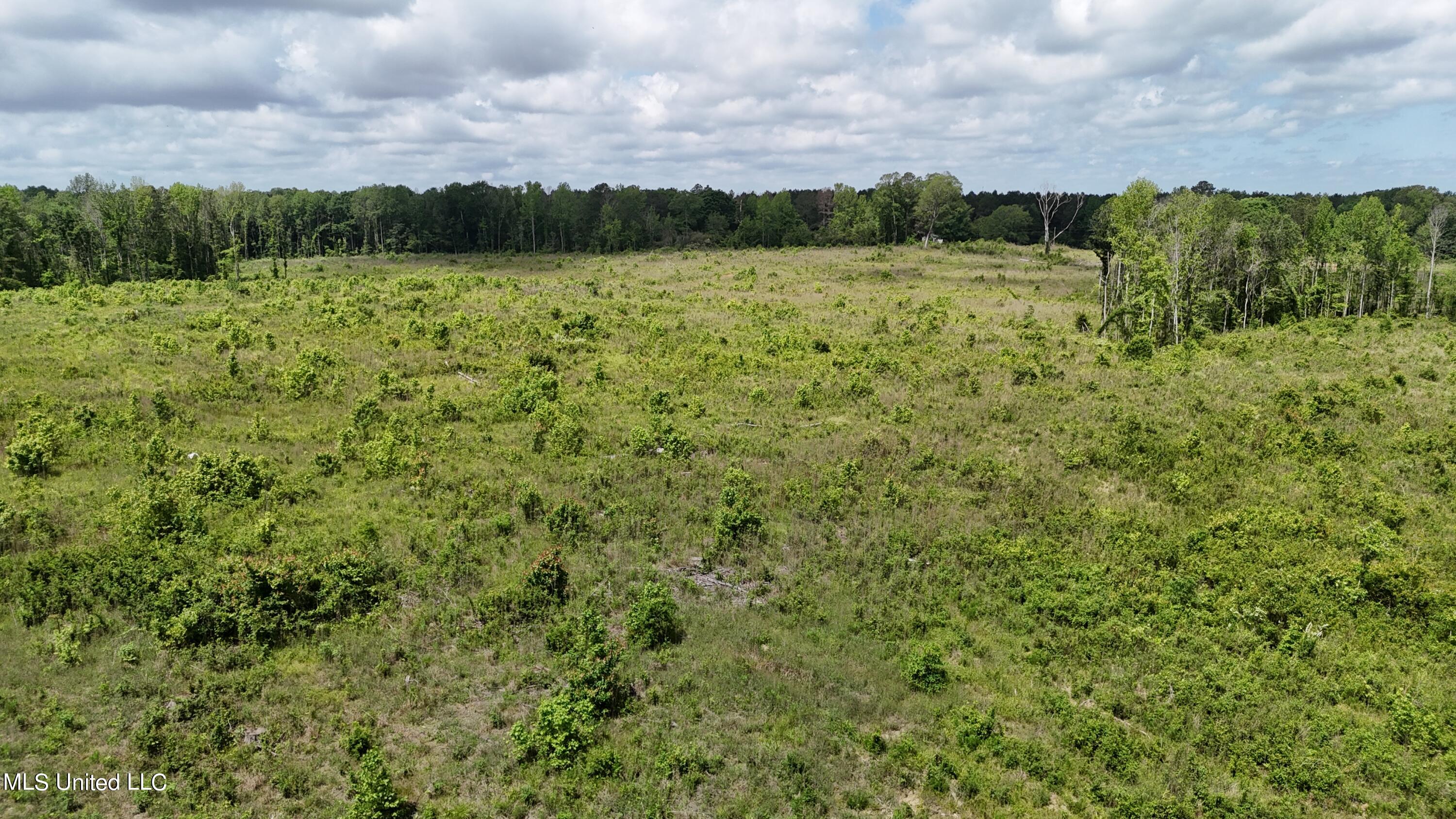 Harrison Road Property Photo 20