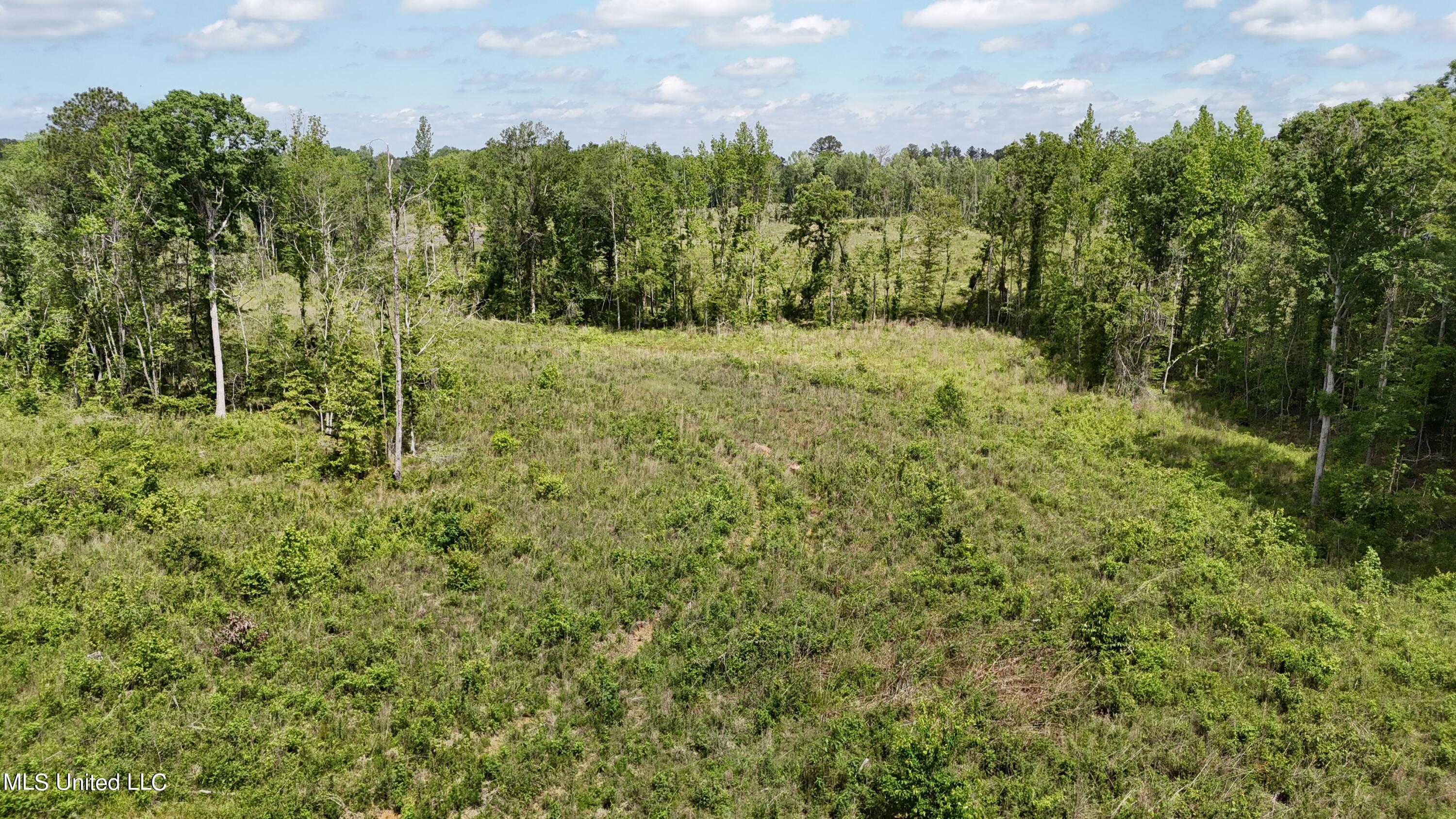 Harrison Road Property Photo 22