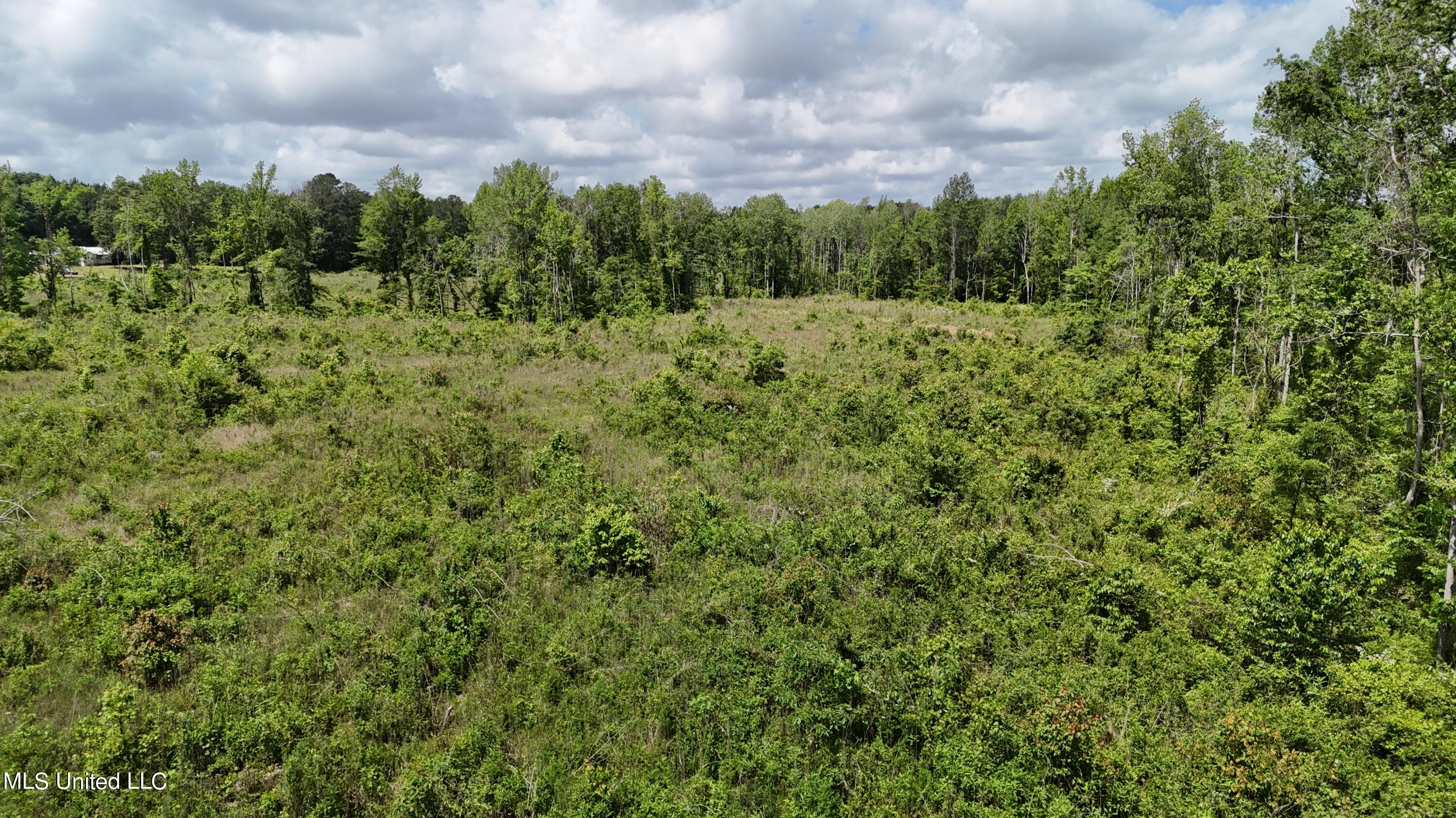 Harrison Road Property Photo 29