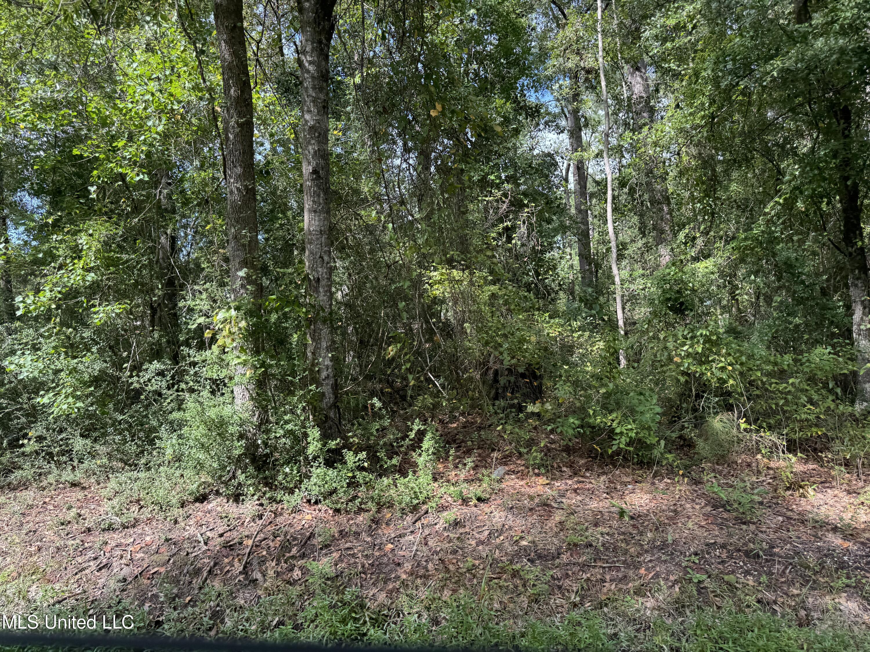 Hwy 604 & 1st Avenue Property Photo 3