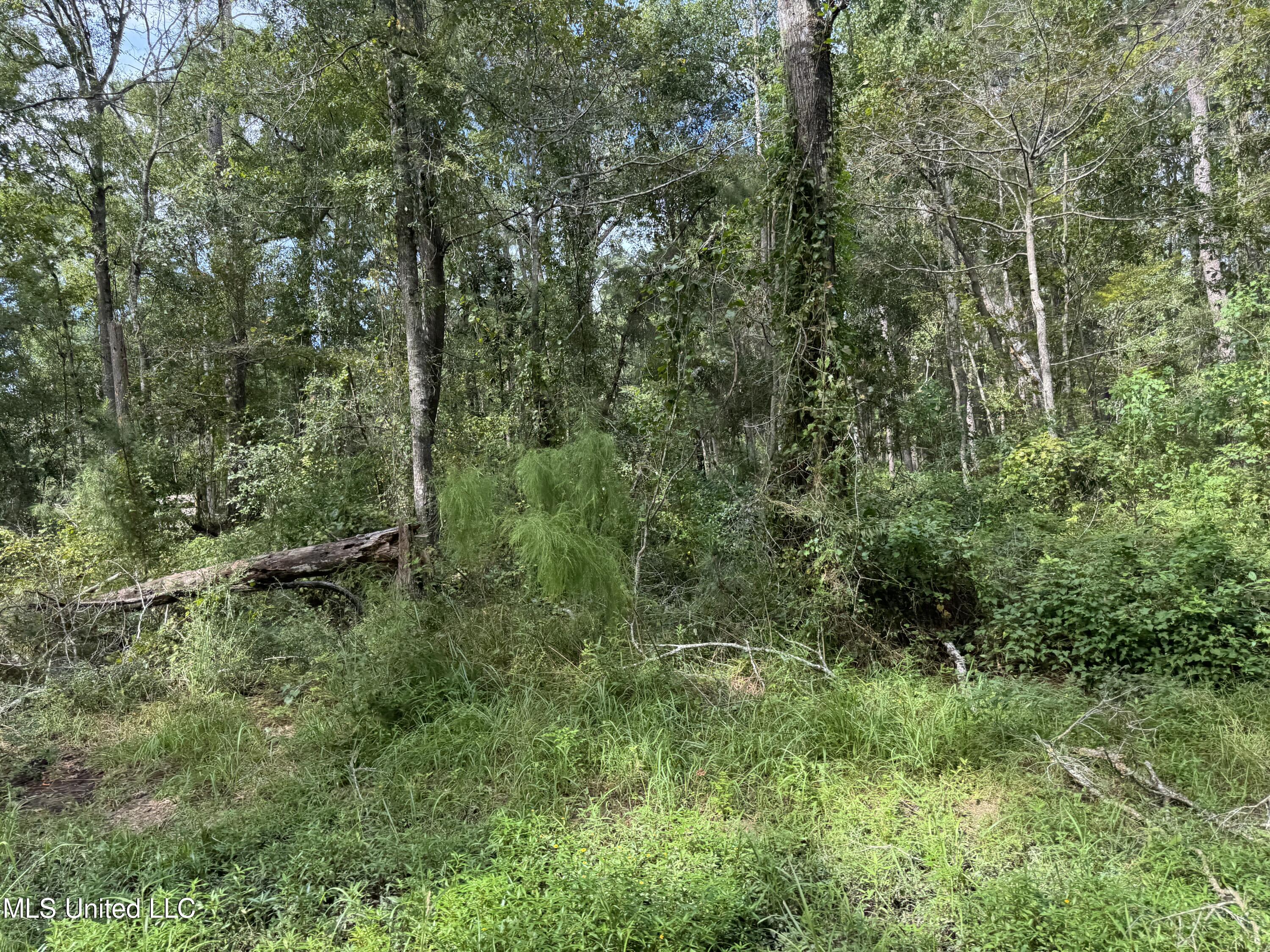 Hwy 604 & 1st Avenue Property Photo 10