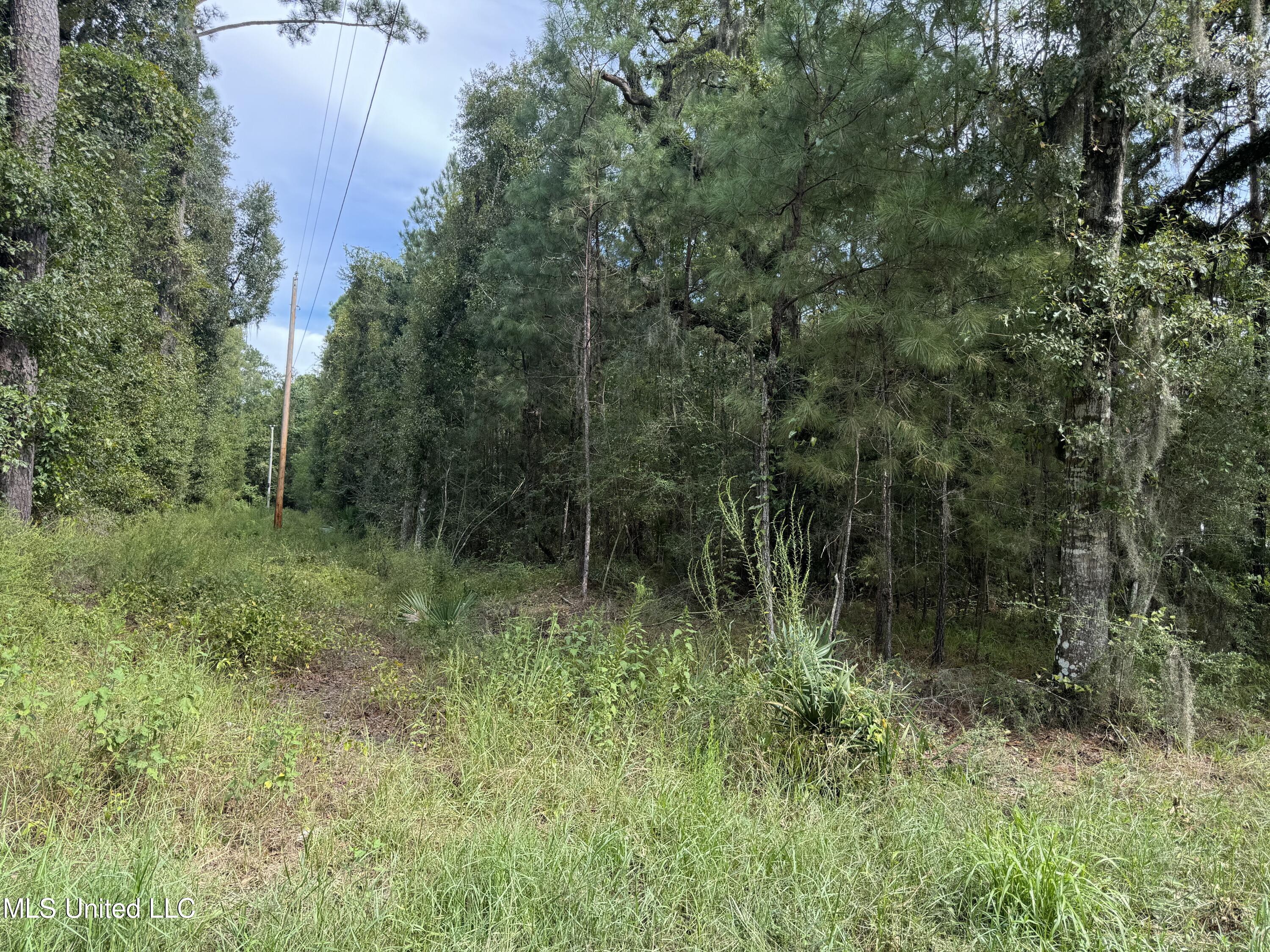 Hwy 604 & 1st Avenue Property Photo 14