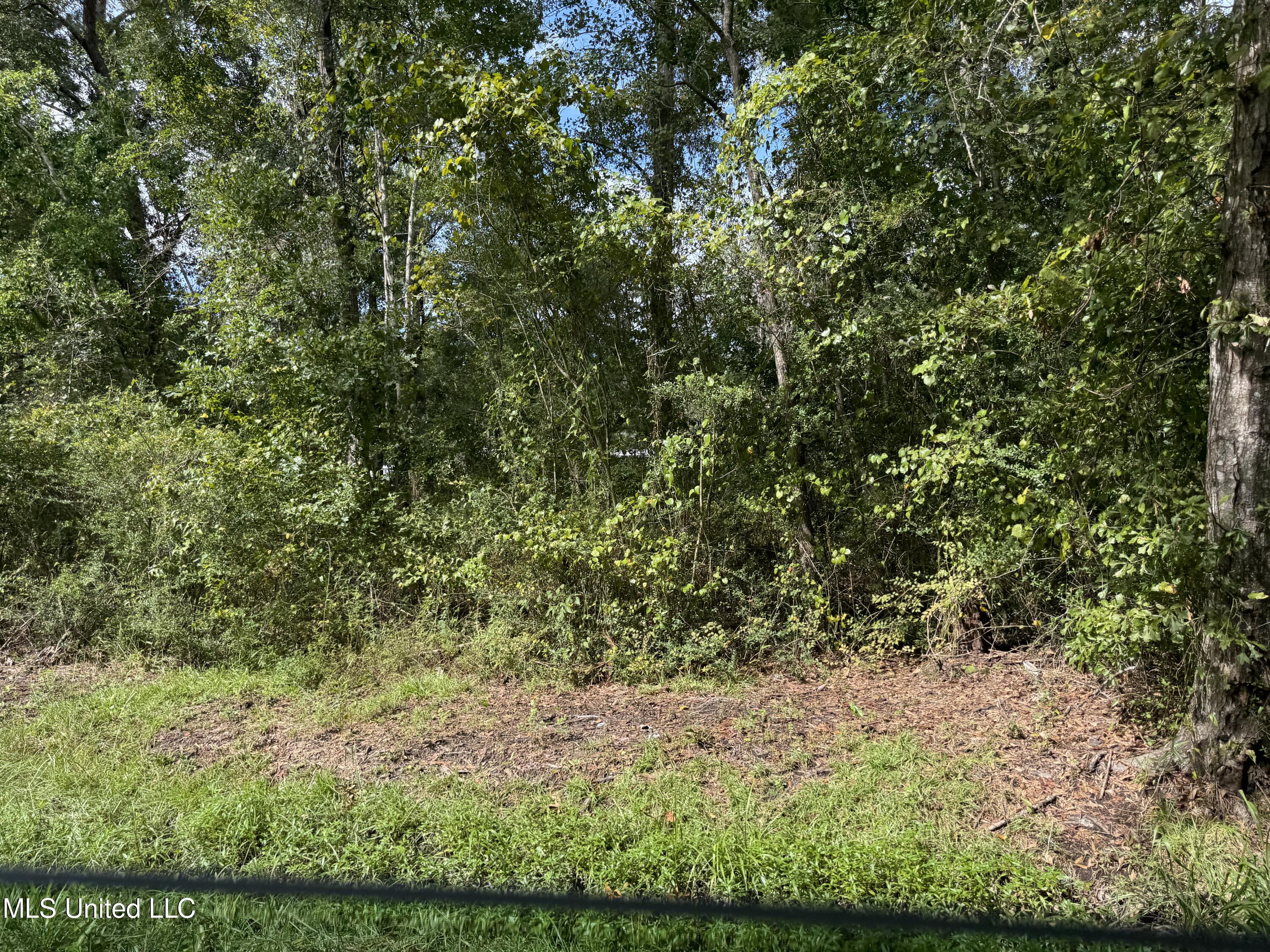 Hwy 604 & 1st Avenue Property Photo 16