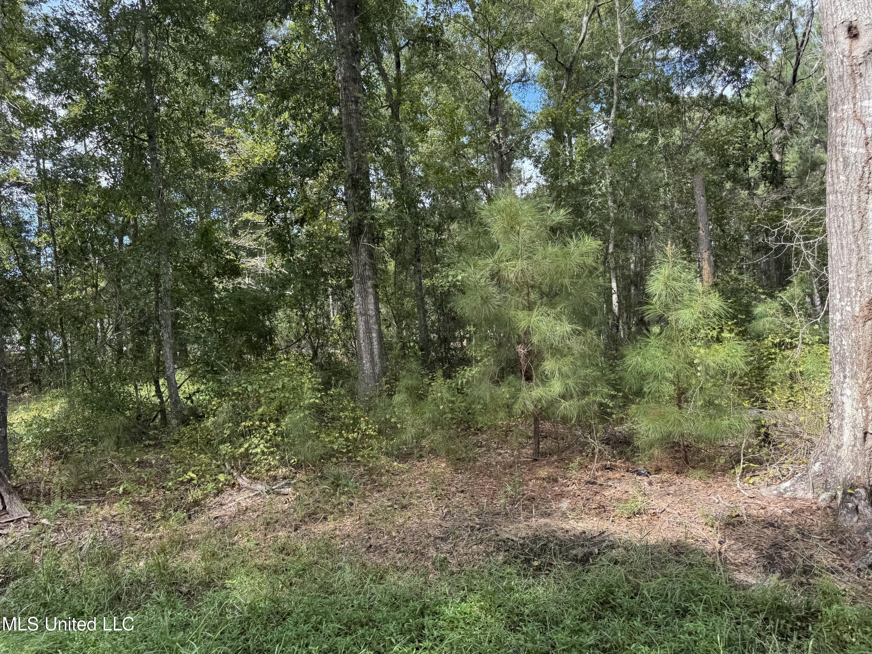 Hwy 604 & 1st Avenue Property Photo 20