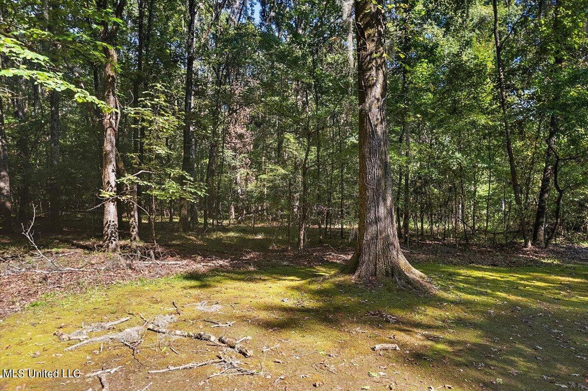 Noah's Mill Road Property Photo 6