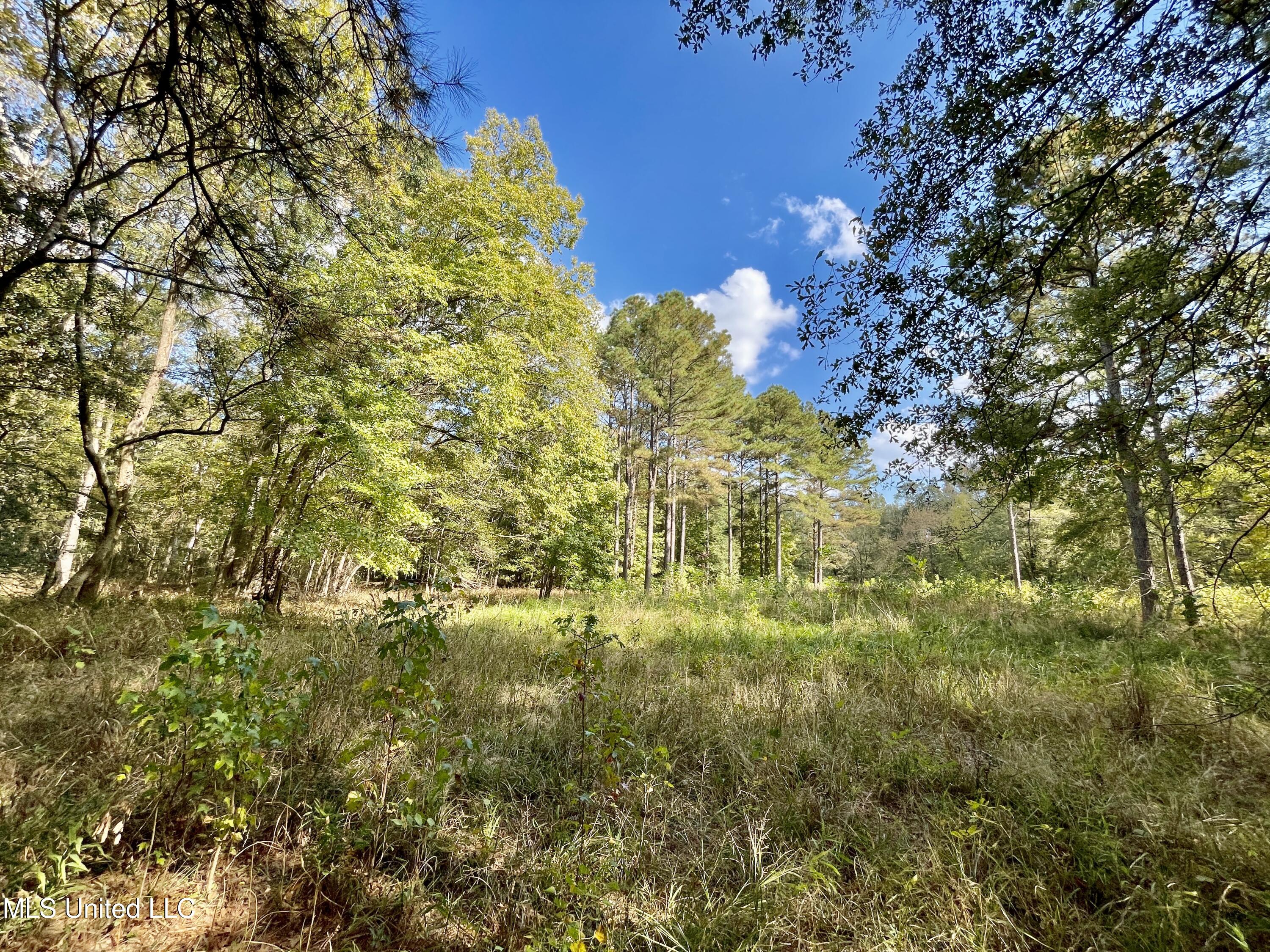 Noah's Mill Road Property Photo 9