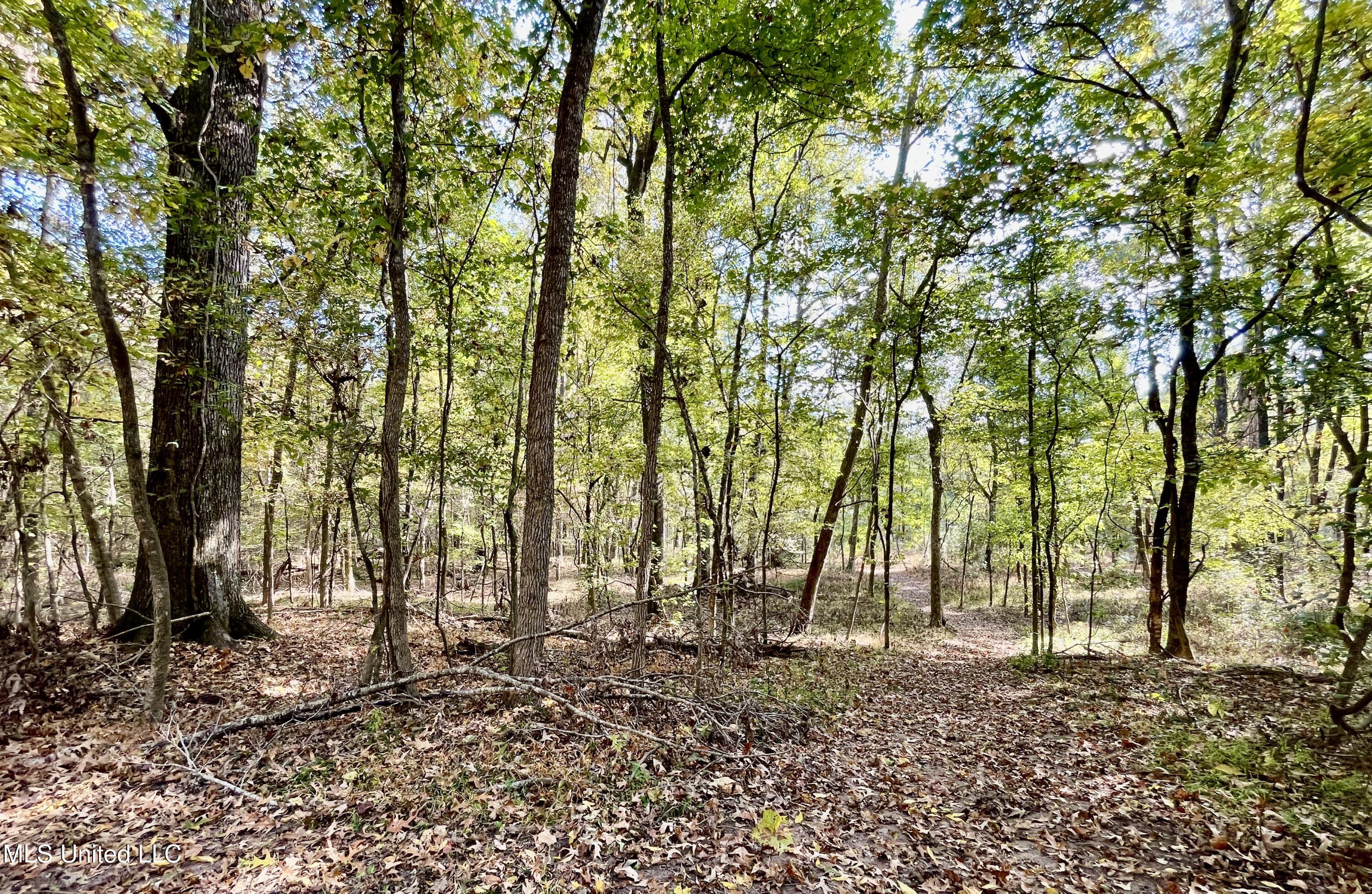 Noah's Mill Road Property Photo 13