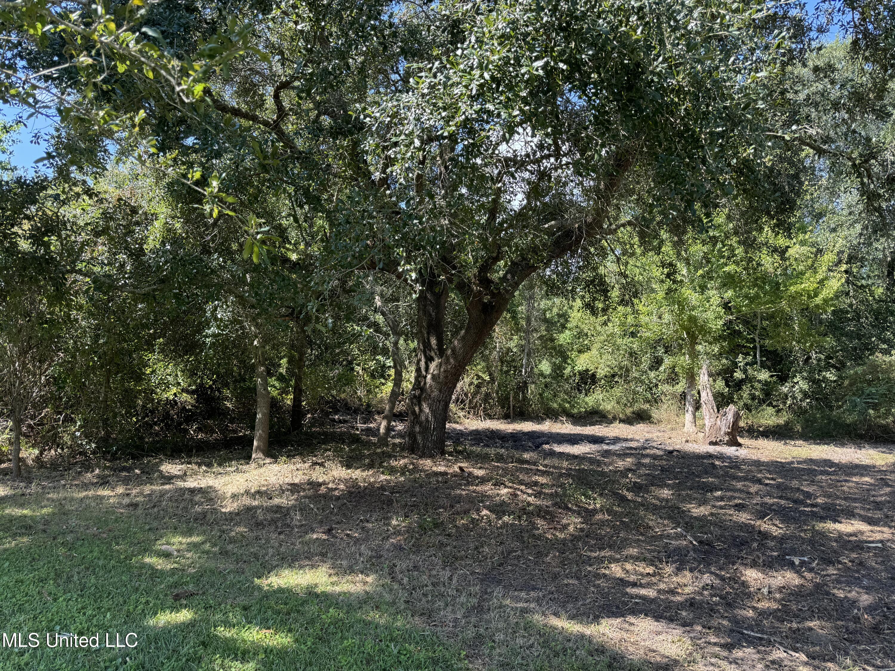 152 Burnett Property Photo 4