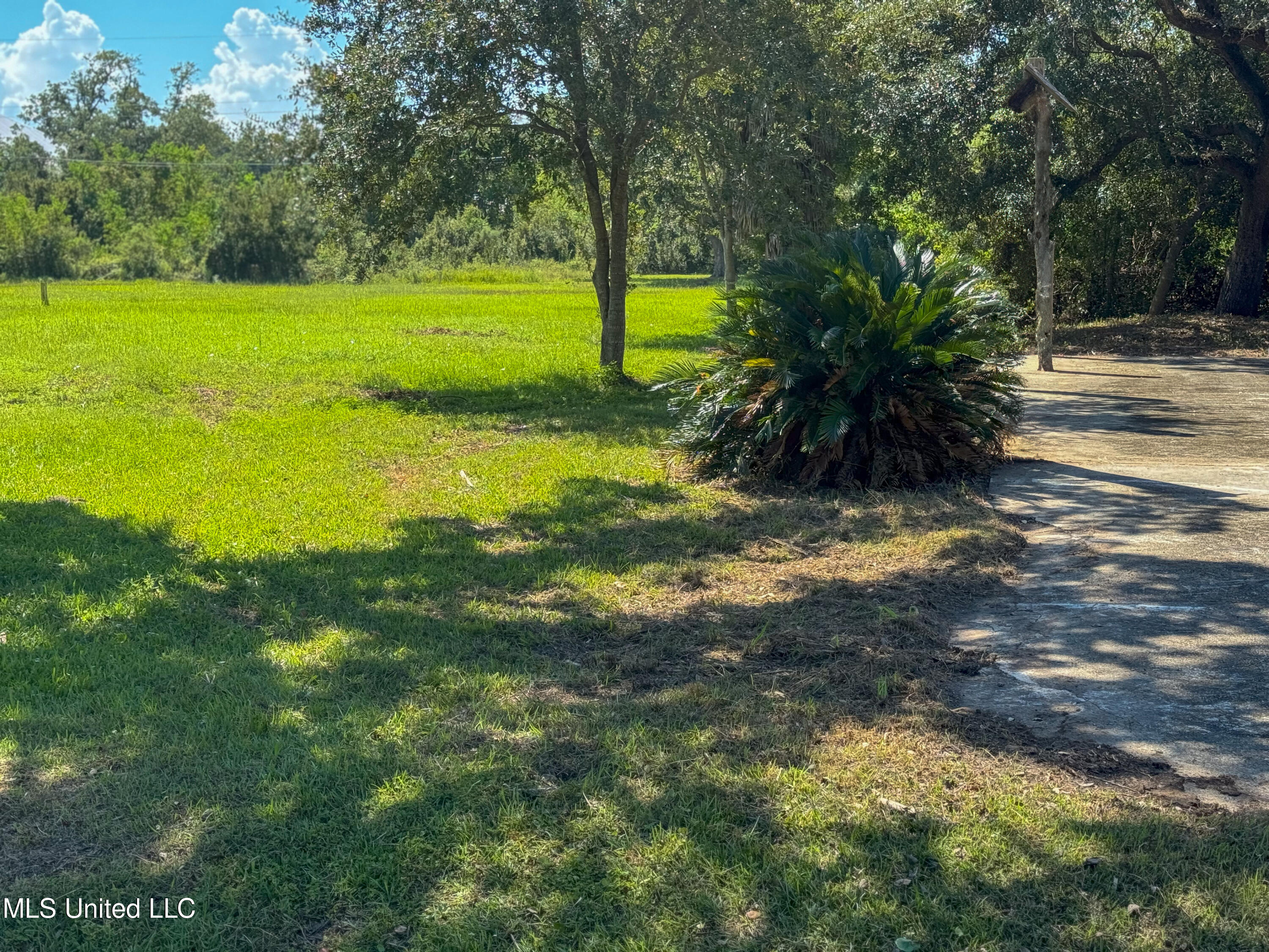 152 Burnett Property Photo 19