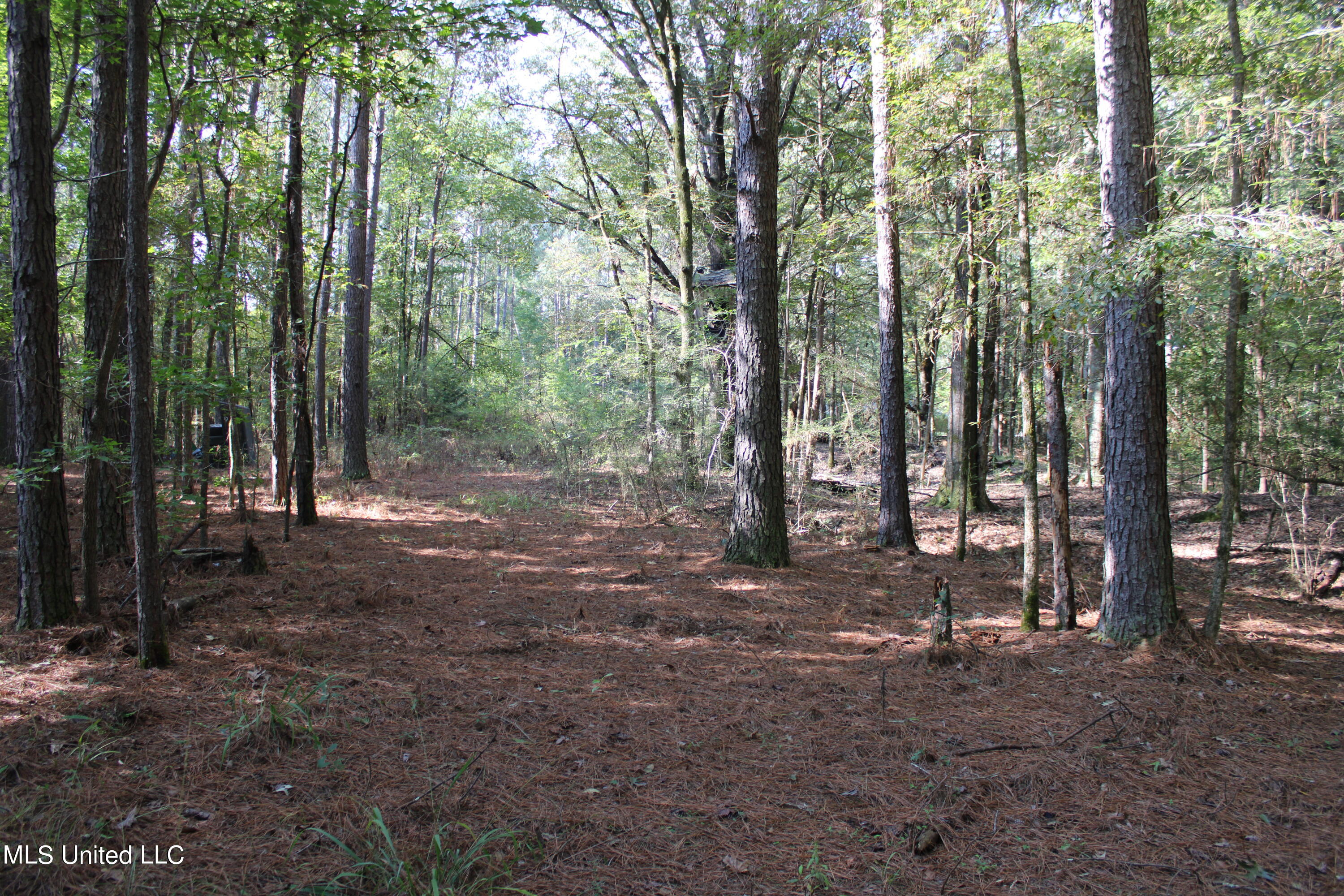 524 Davis Crossing Road Property Photo 2