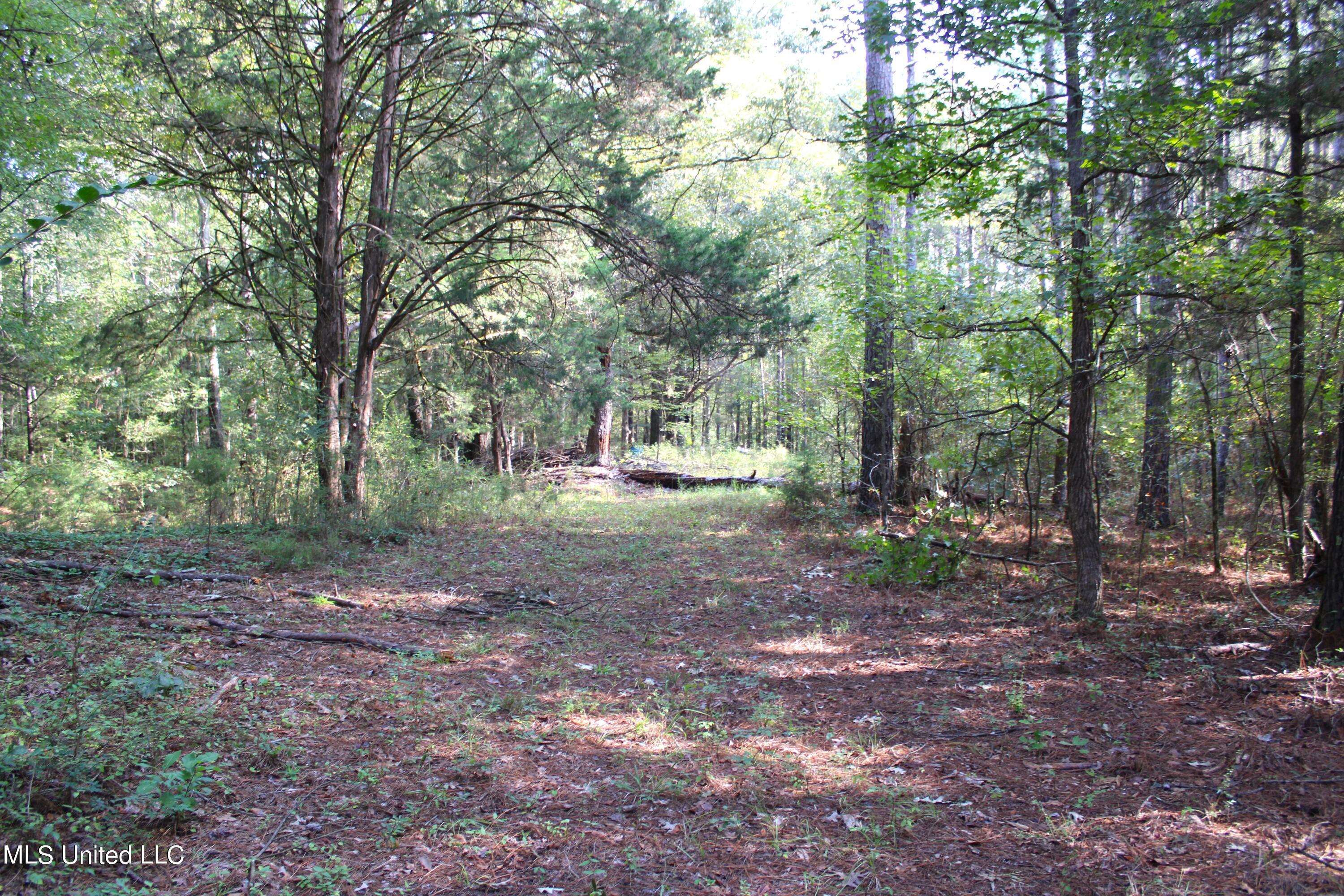 524 Davis Crossing Road Property Photo 3
