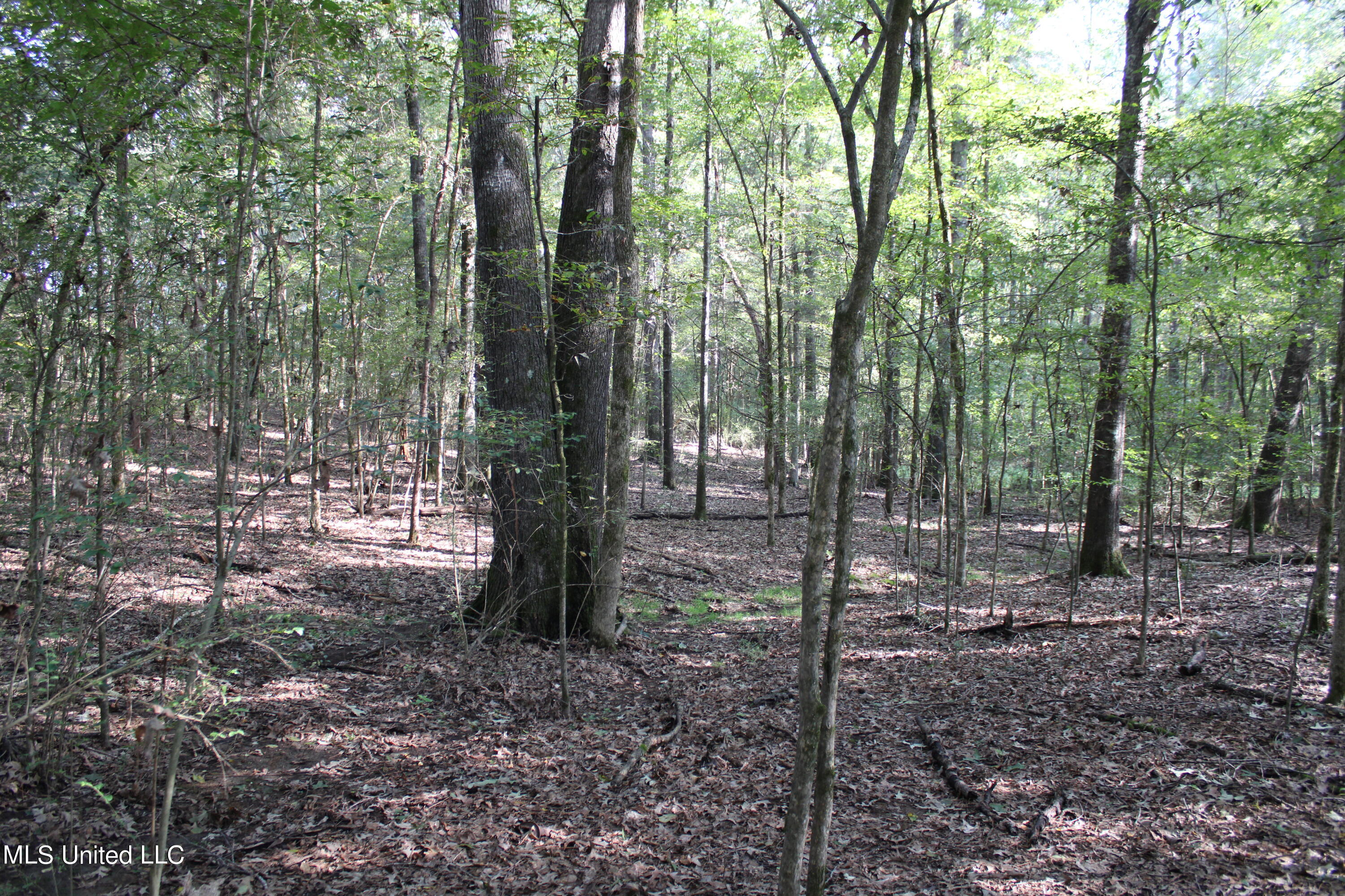 524 Davis Crossing Road Property Photo 9
