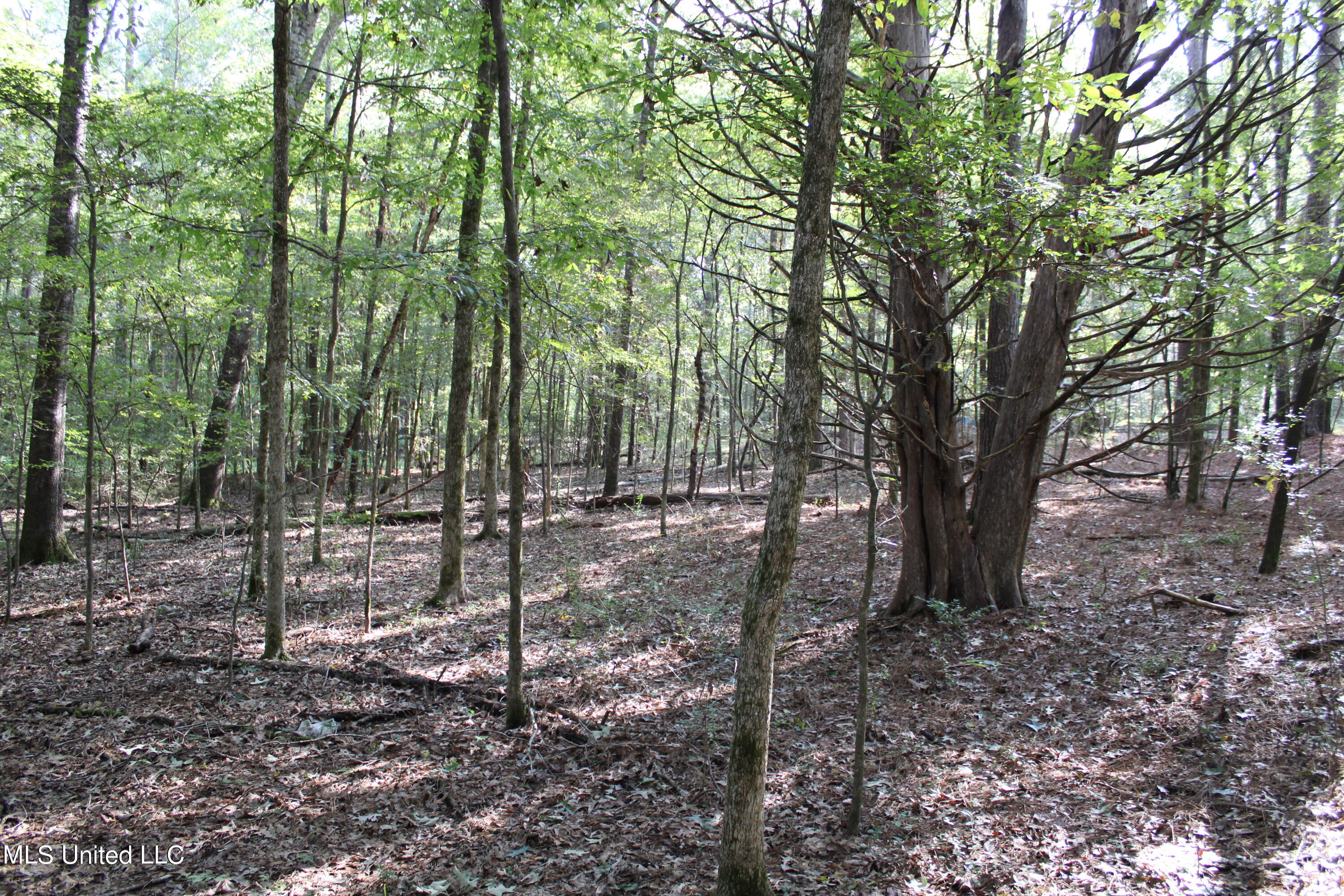524 Davis Crossing Road Property Photo 10
