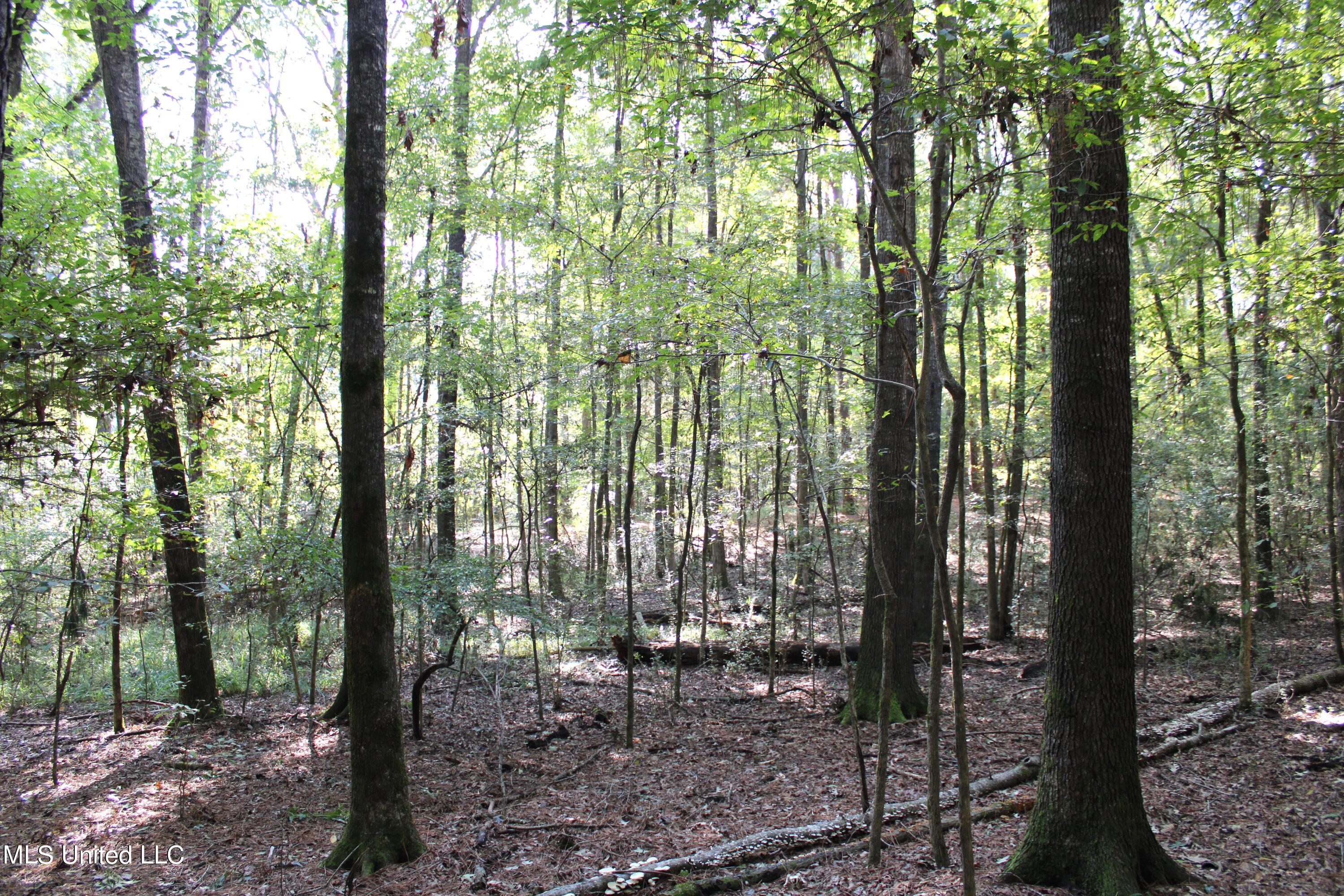 524 Davis Crossing Road Property Photo 12