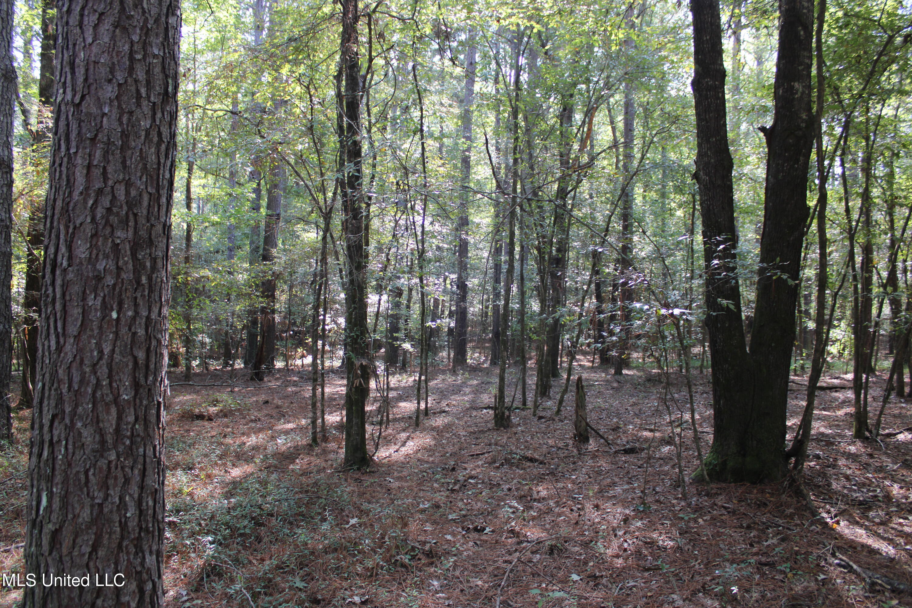 524 Davis Crossing Road Property Photo 13