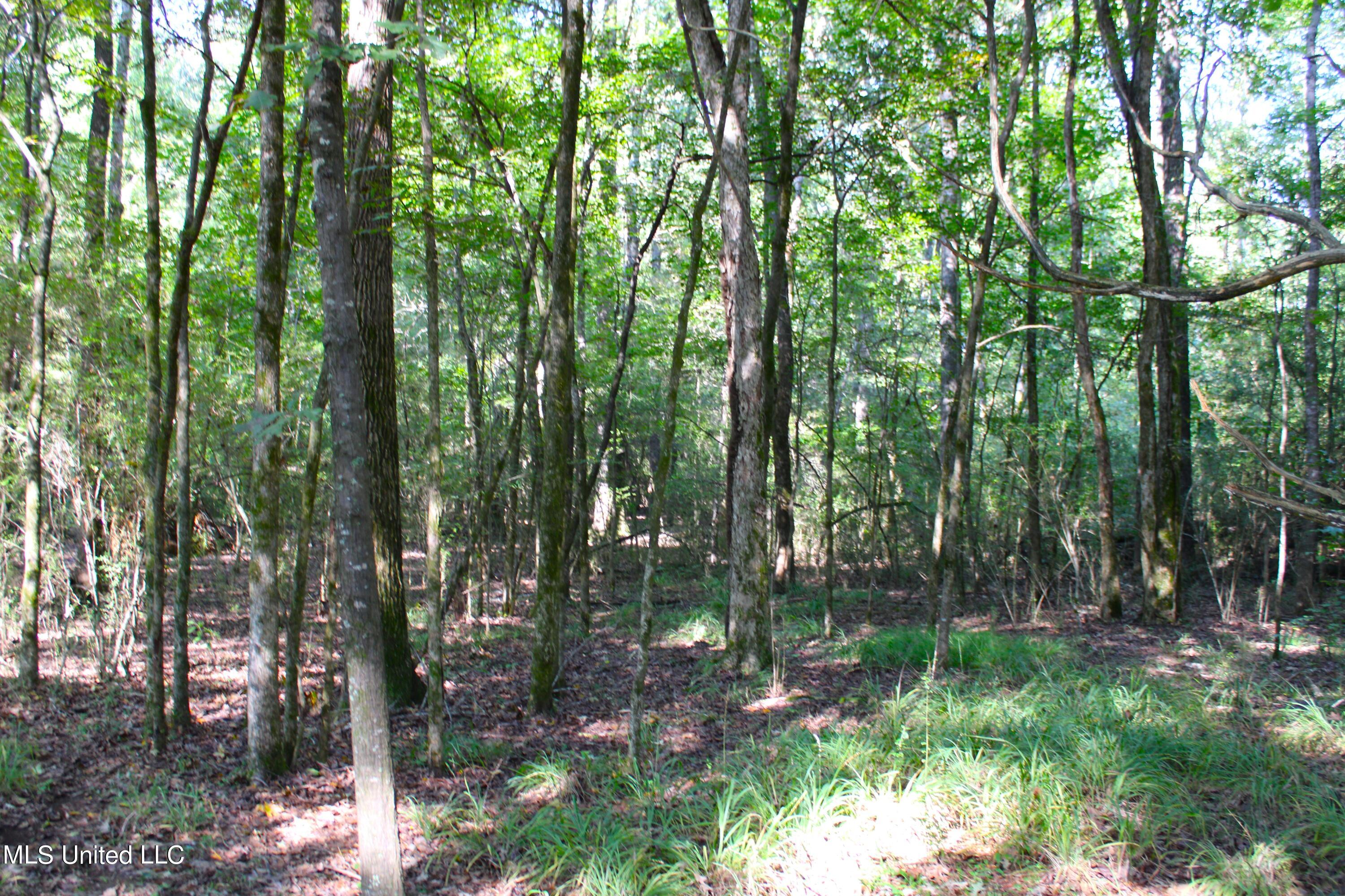 524 Davis Crossing Road Property Photo 17