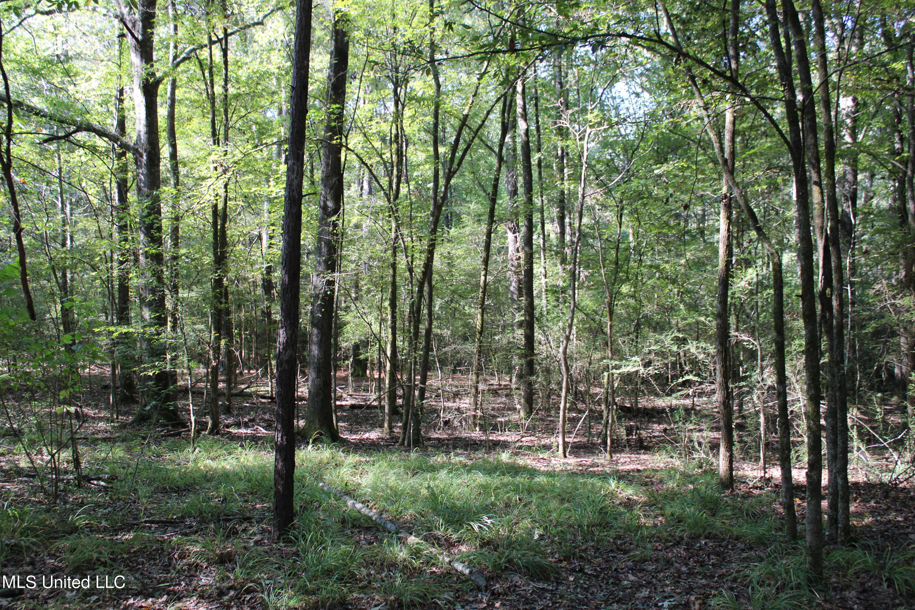 524 Davis Crossing Road Property Photo 18