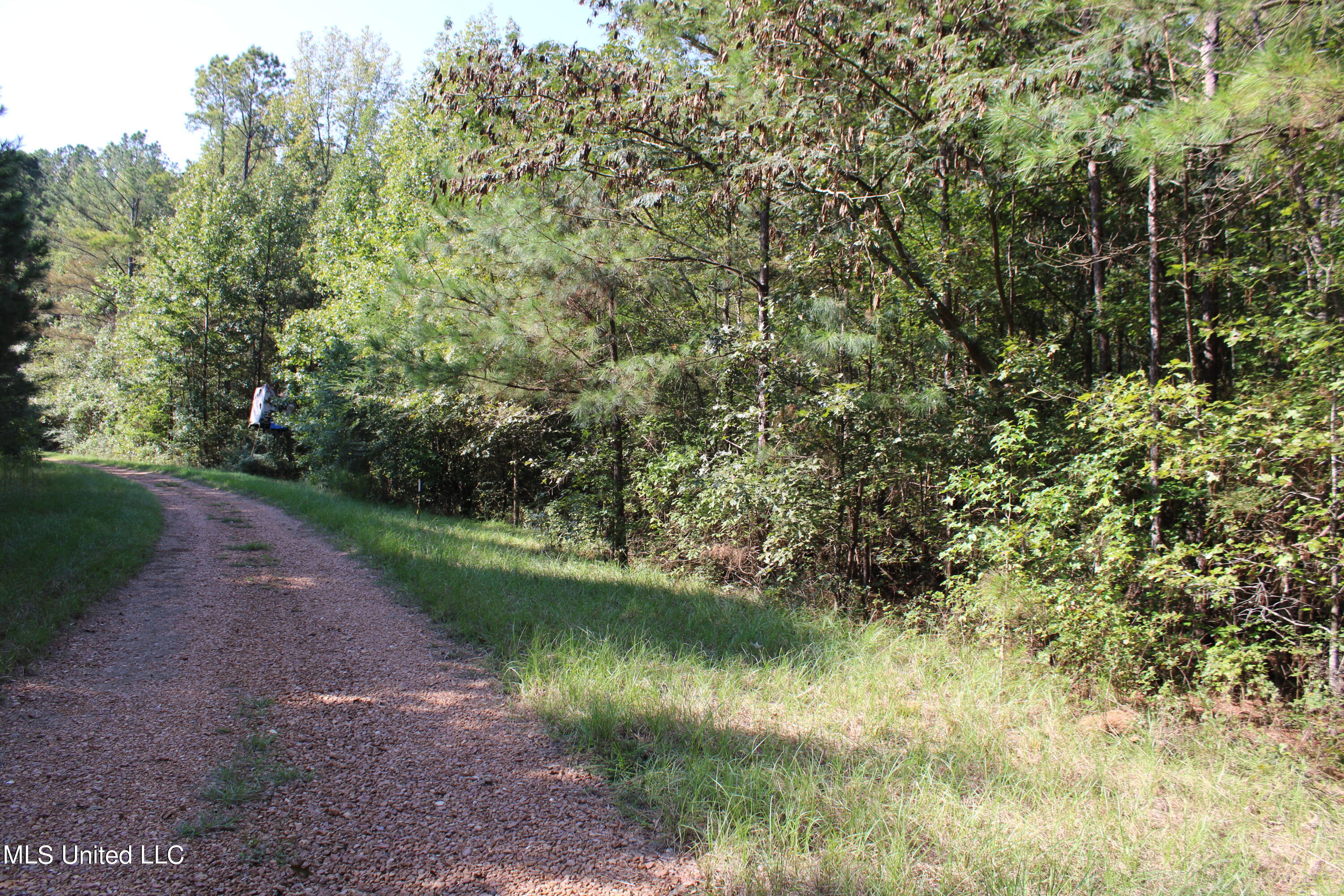 524 Davis Crossing Road Property Photo 19