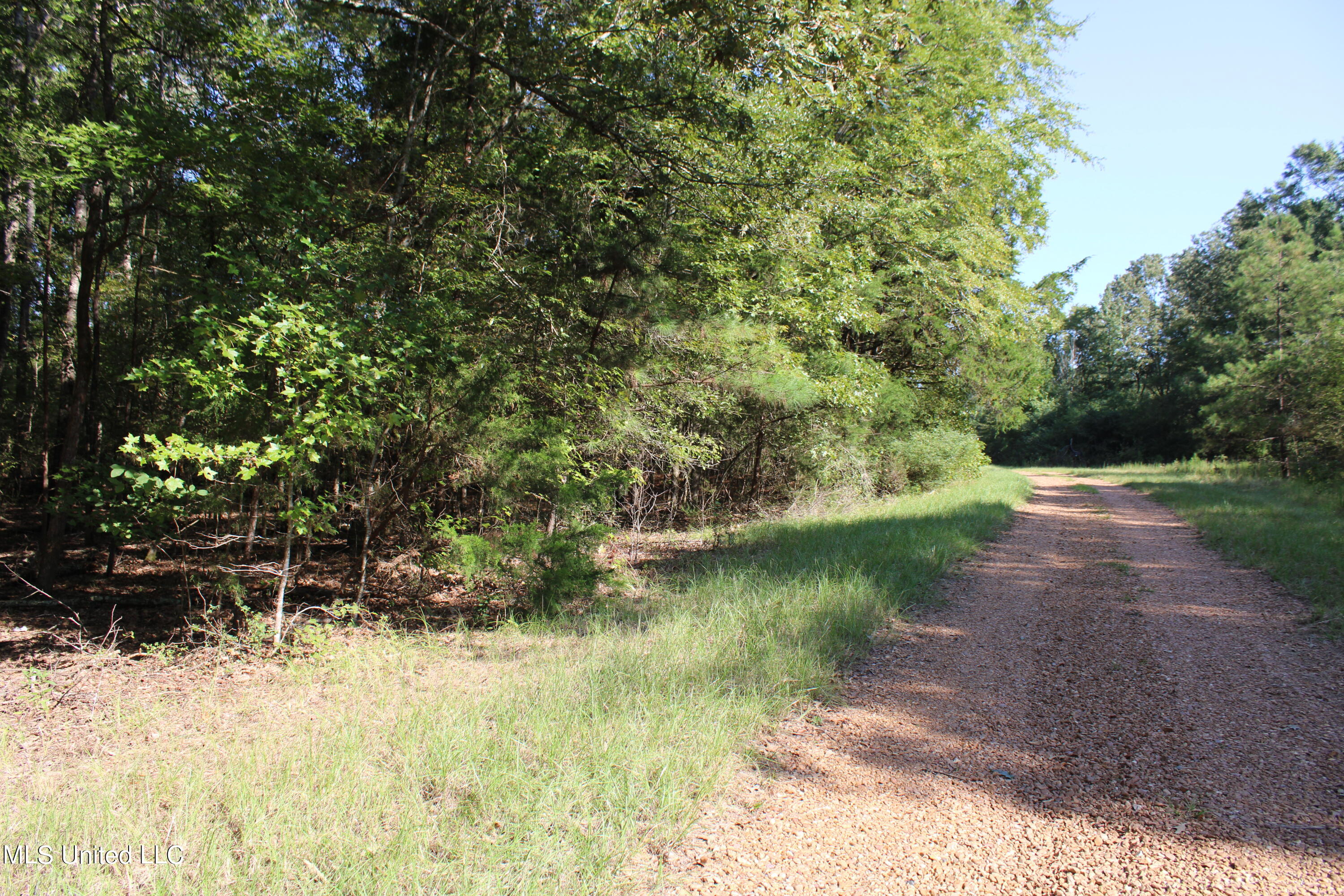 524 Davis Crossing Road Property Photo 20