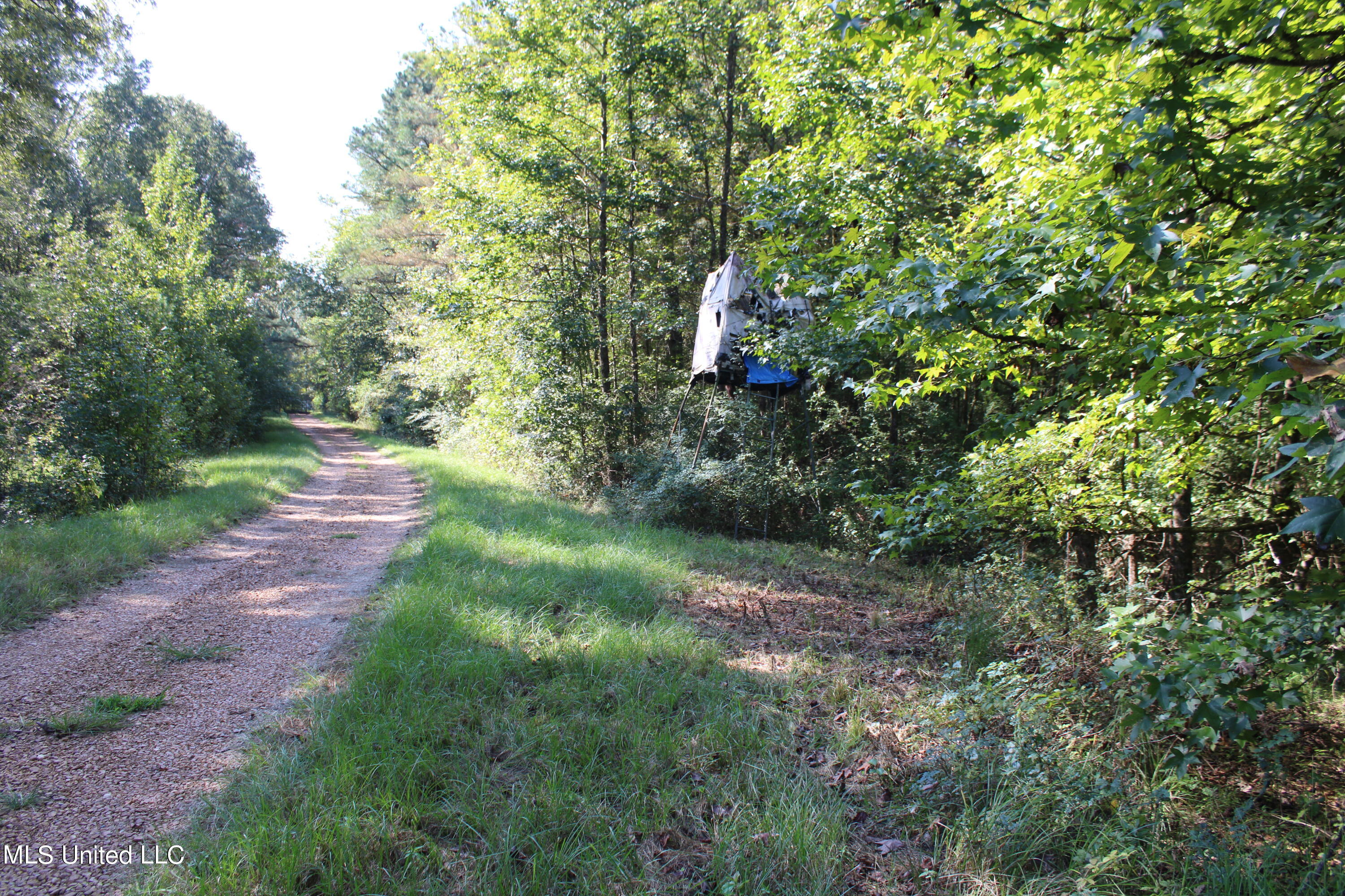 524 Davis Crossing Road Property Photo 21