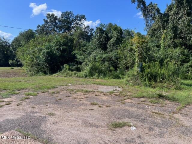 215 W Central Avenue Property Photo 5