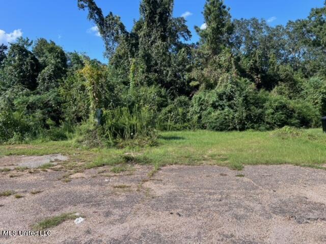 215 W Central Avenue Property Photo 6