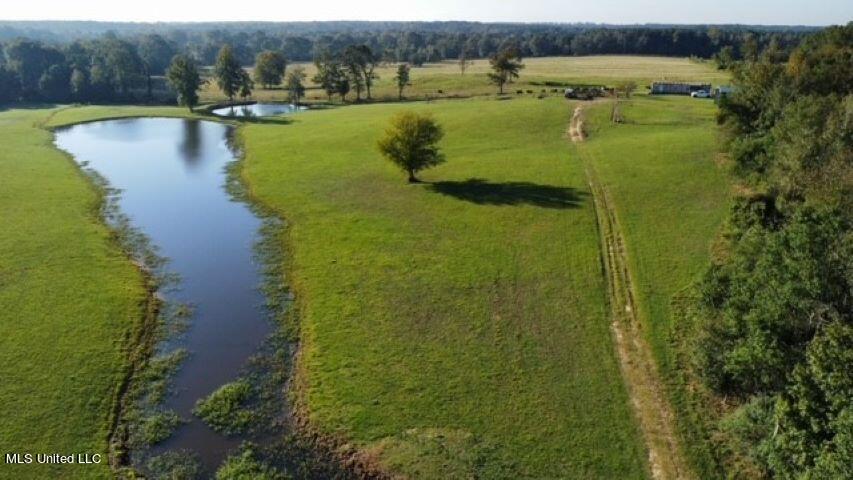 4115 Old Hwy 24 Property Photo 2
