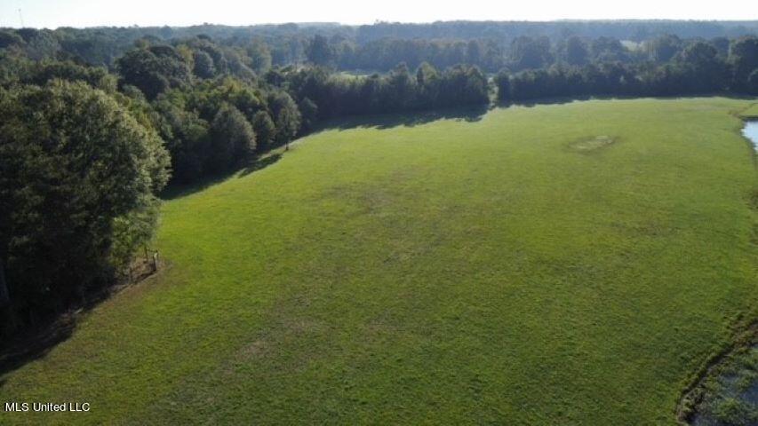 4115 Old Hwy 24 Property Photo 3