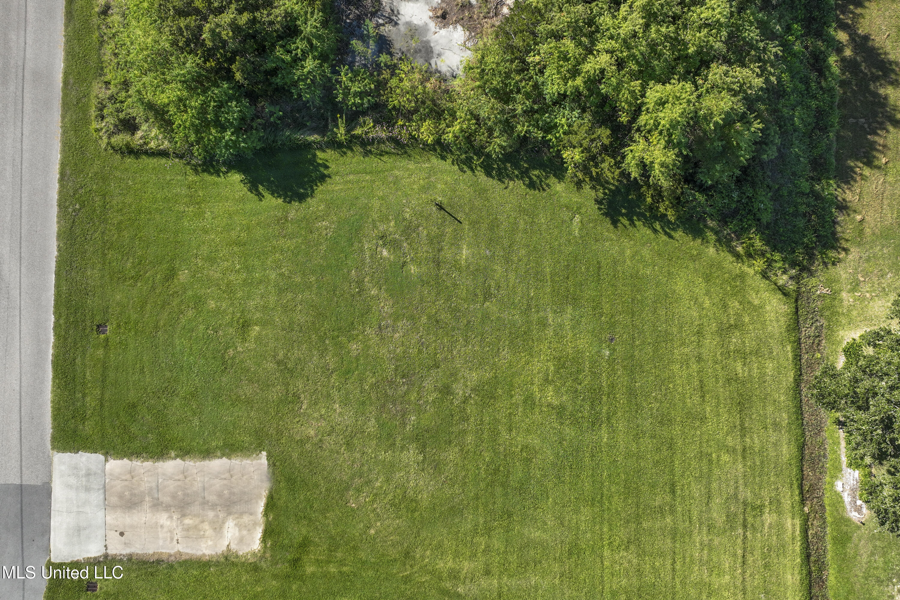 113 Buena Vista Drive Property Photo 10