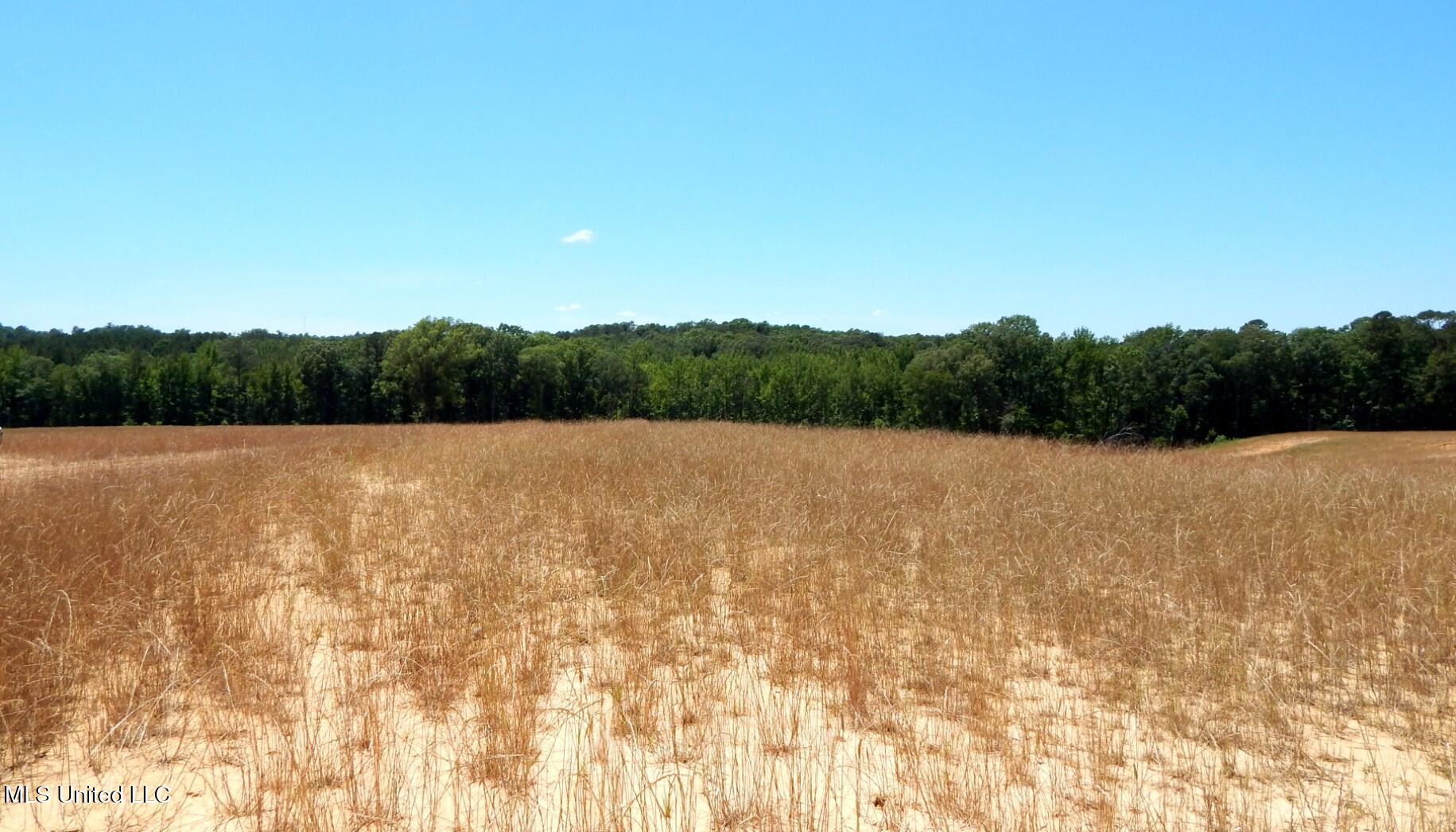 205 Hugh White State Park Road Property Photo 1
