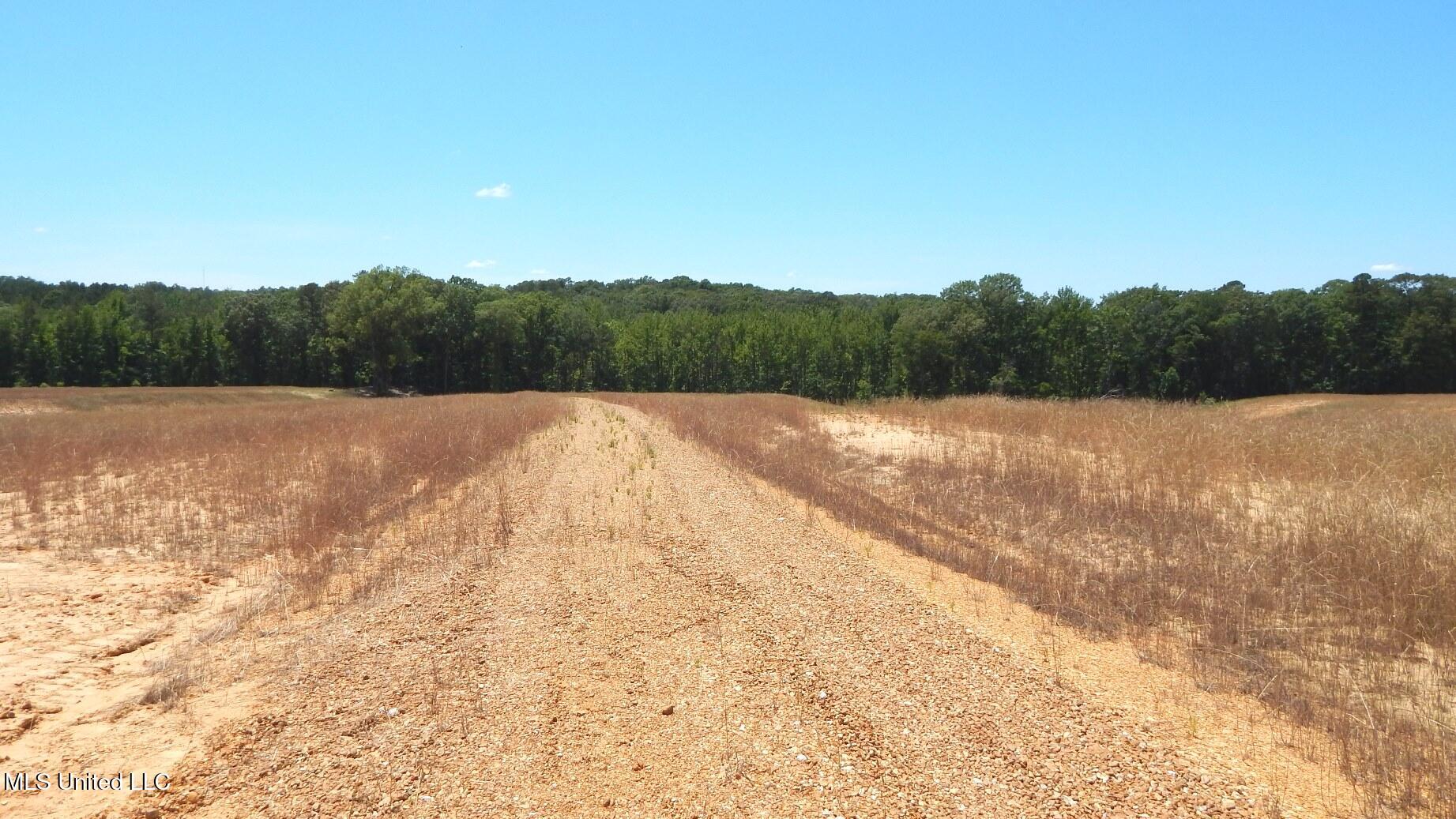 205 Hugh White State Park Road Property Photo 2