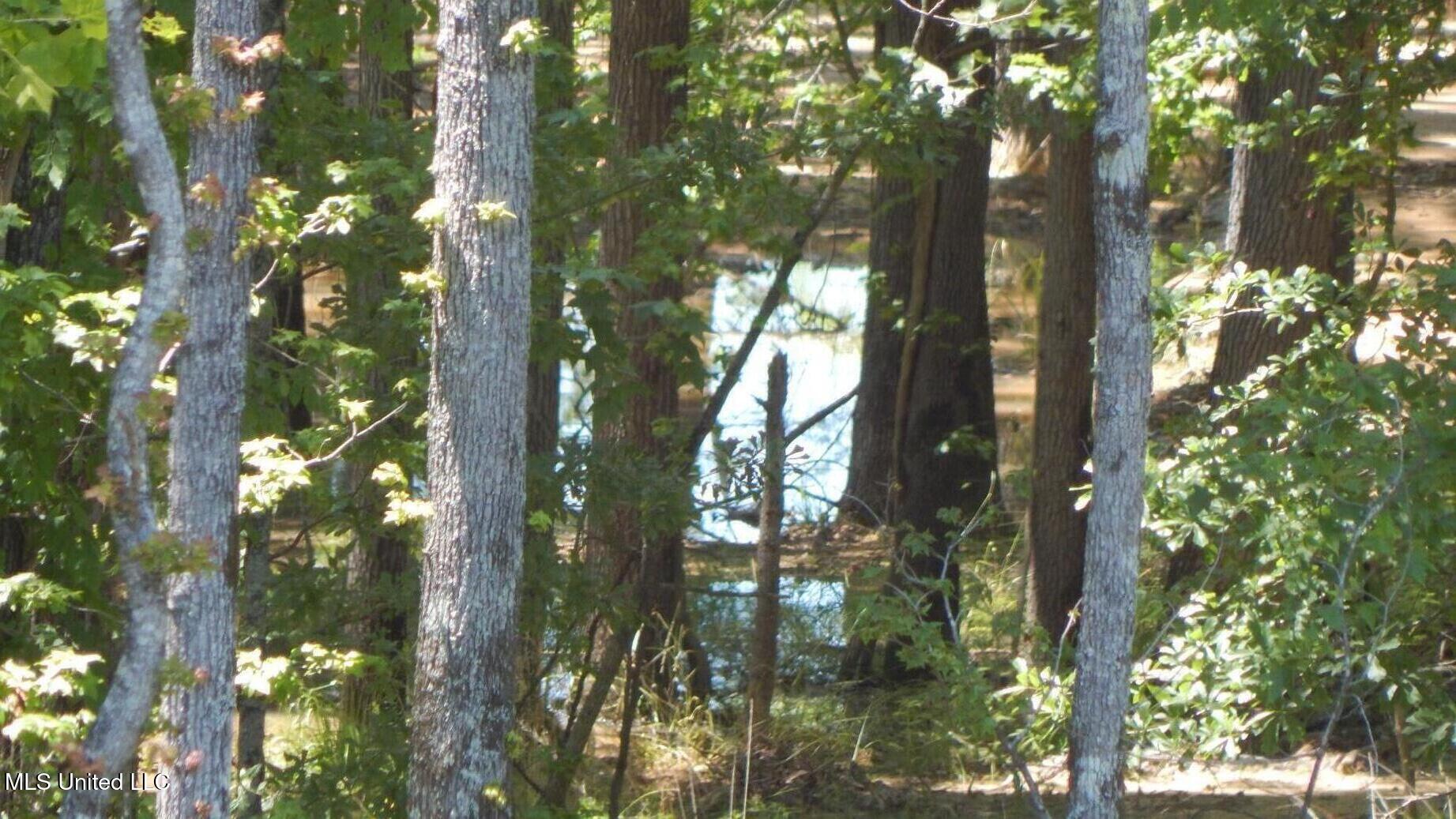 205 Hugh White State Park Road Property Photo 3