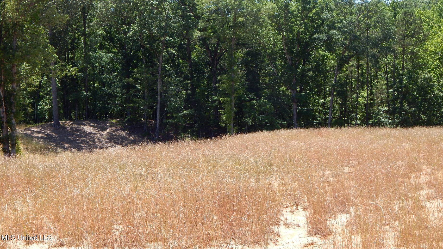 205 Hugh White State Park Road Property Photo 4