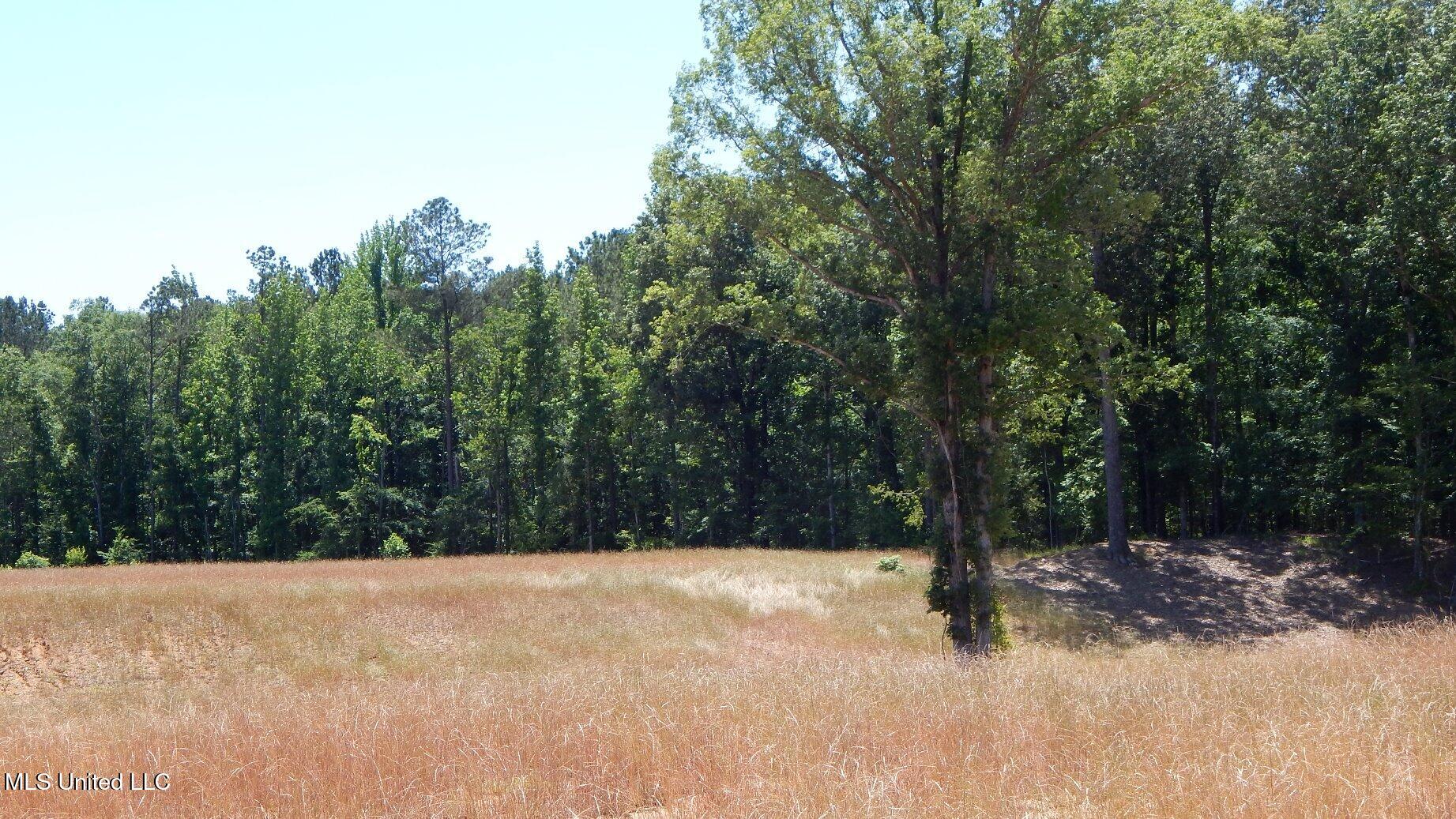 205 Hugh White State Park Road Property Photo 5